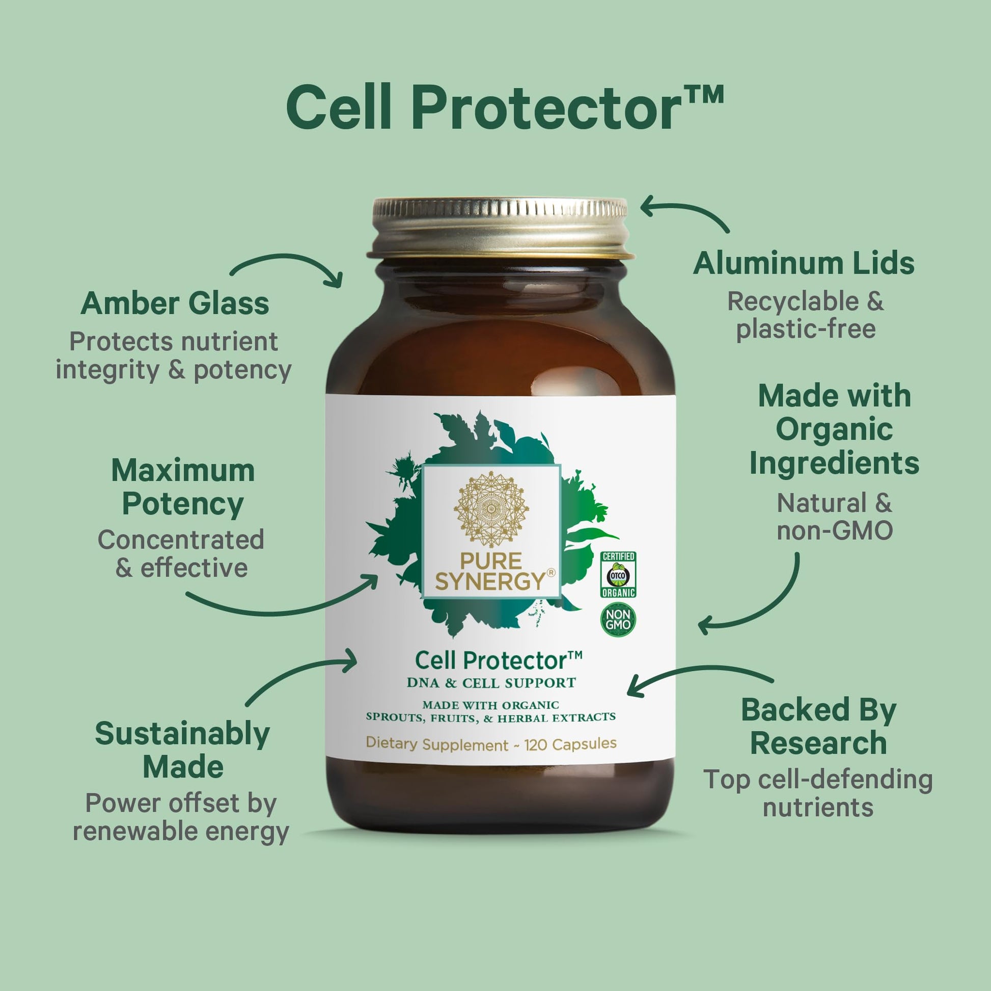 PURE SYNERGY Cell Protector | Cellular Health Supplement | Cell and Immune Support with Selenium and Organic Cruciferous Vegetables | for Healthy Aging & Detoxification (120 Capsules) PURE SYNERGY buy supplements canada