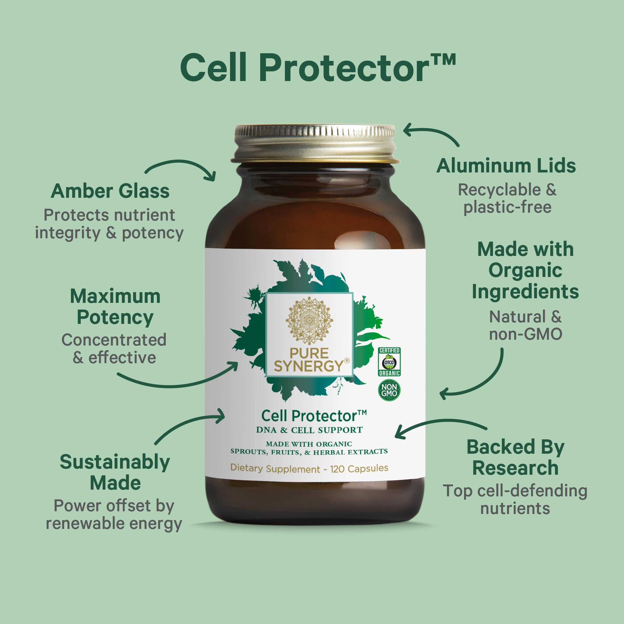 PURE SYNERGY Cell Protector | Cellular Health Supplement | Cell and Immune Support with Selenium and Organic Cruciferous Vegetables | for Healthy Aging & Detoxification (120 Capsules) PURE SYNERGY buy supplements canada