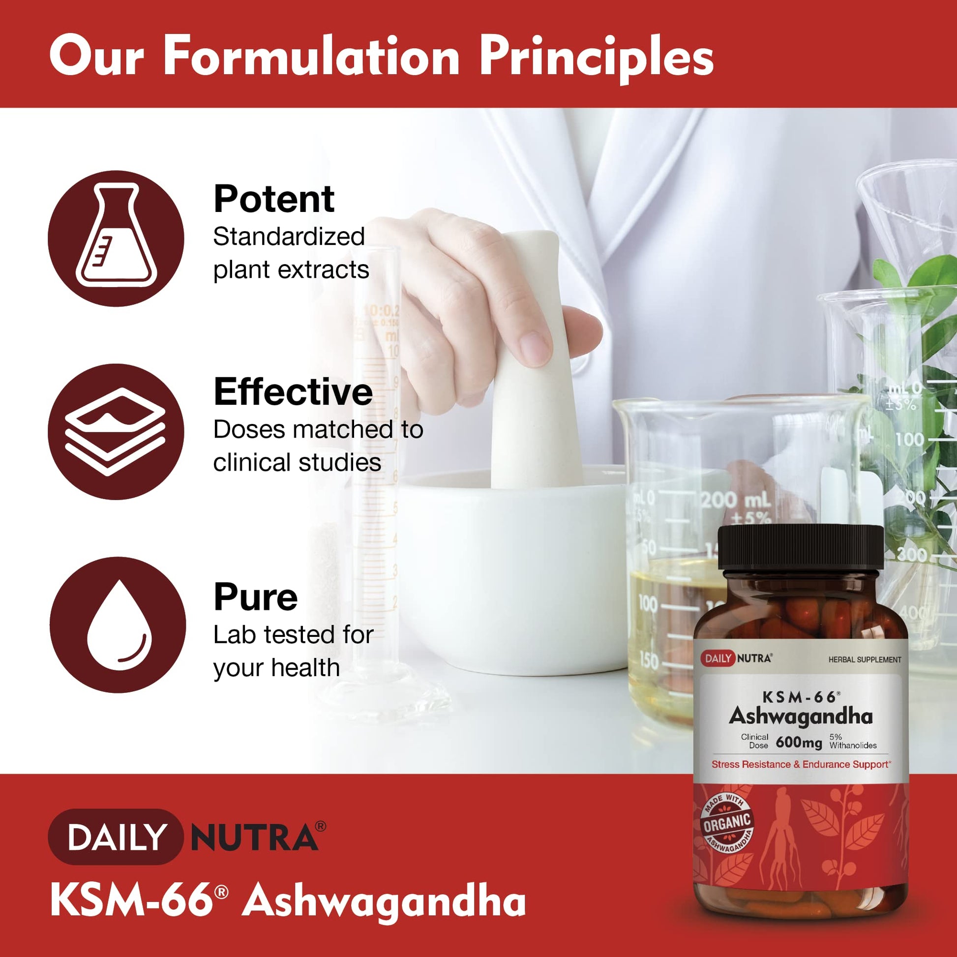 DailyNutra KSM-66 Ashwagandha 600mg Organic Root Extract - High Potency Supplement DailyNutra buy supplements canada