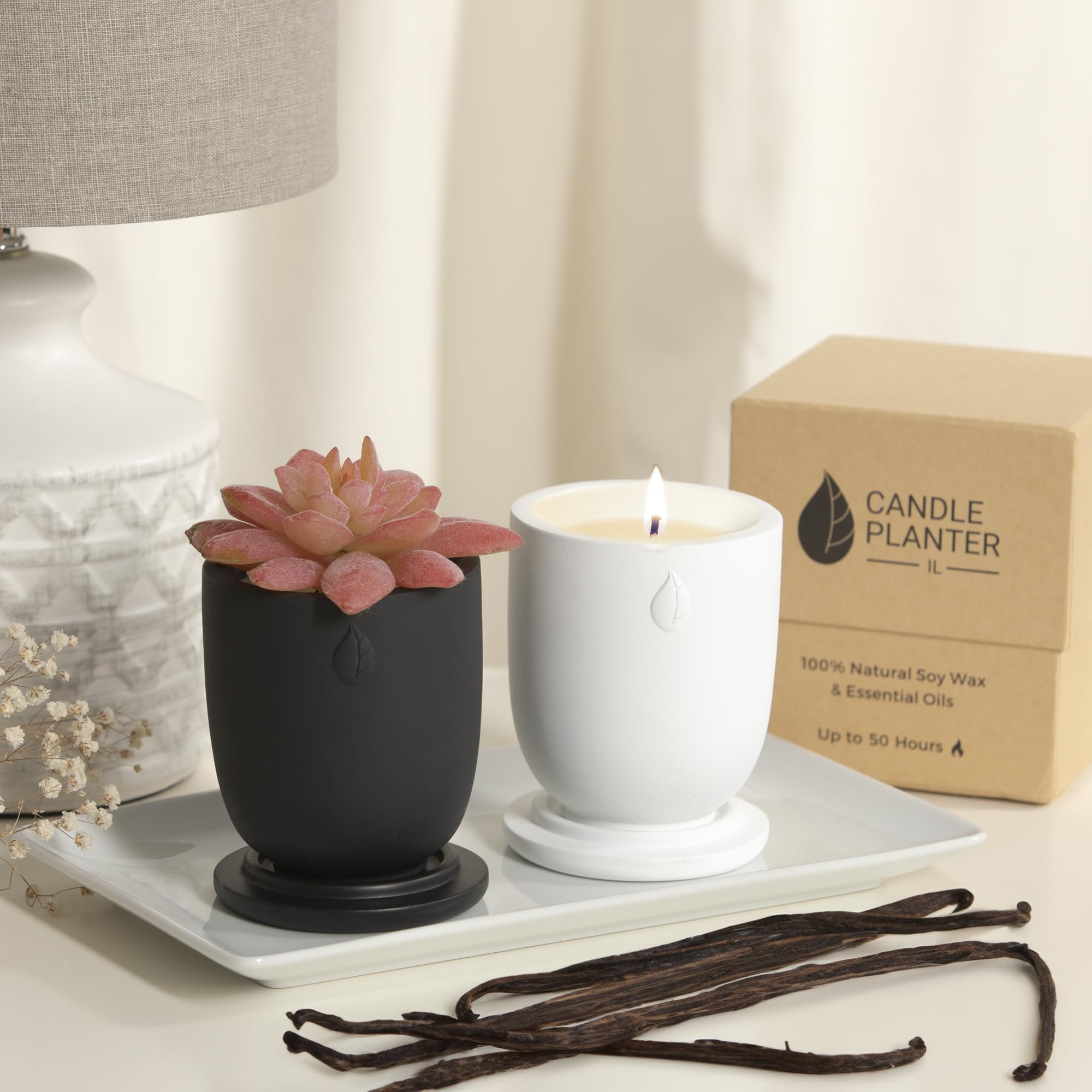 CandlePlanter Concrete Cement Candle Planter - Candles for Home Scented, Soy Candles CANDLEPLANTER buy supplements canada