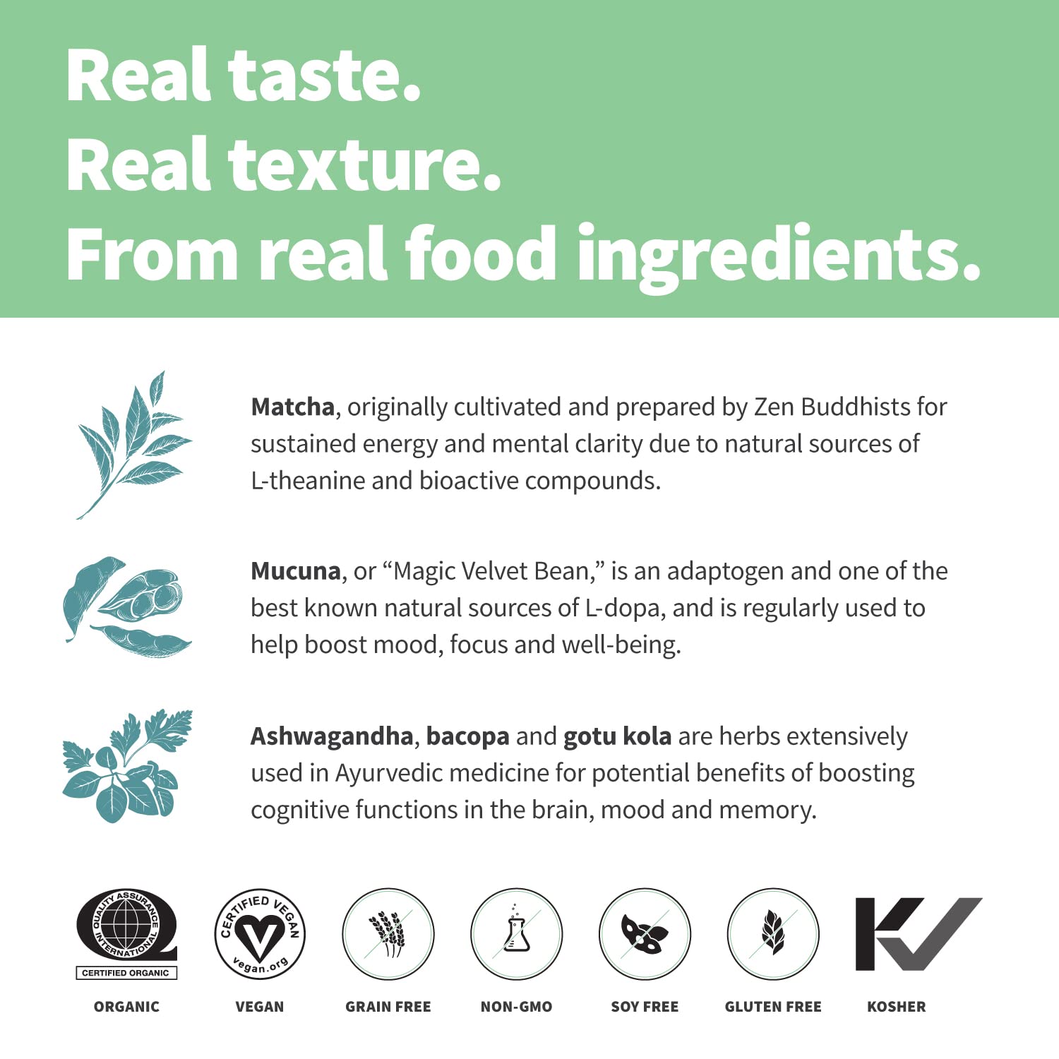 Sprout Living Epic Protein, Plant Based Protein & Superfoods Powder, Mindful Matcha Sprout Living buy supplements canada