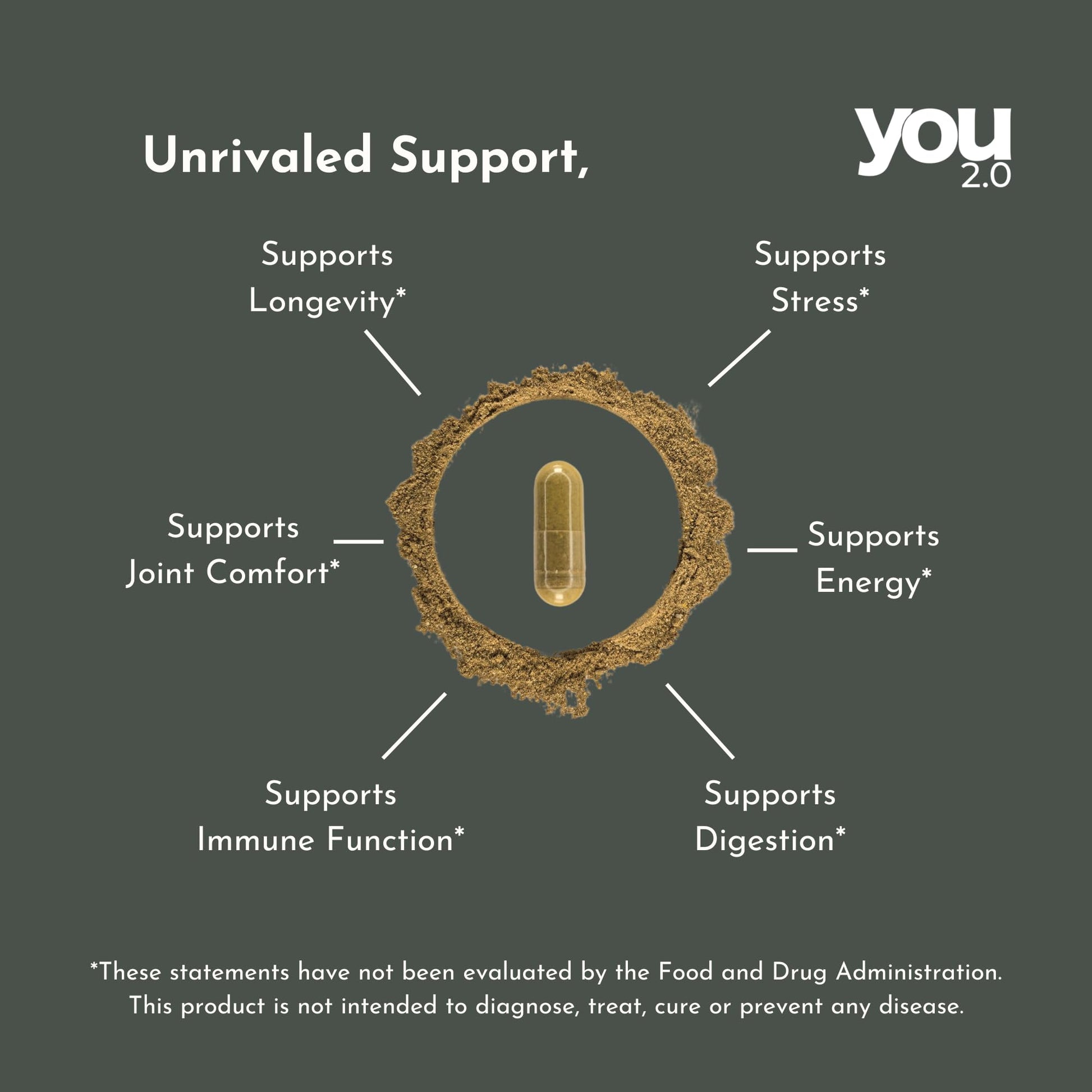 YOU 2.0 Powerhouse Superfood with Seamoss, Shilajit, Ashwagandha, Berberine, Maca, Black Seed Oil, Turmeric, Vitamin C, D, B12, K2 - Moringa, Apple Cider, Made in USA for Overall Health & Immunity YOU 2.0 buy supplements canada
