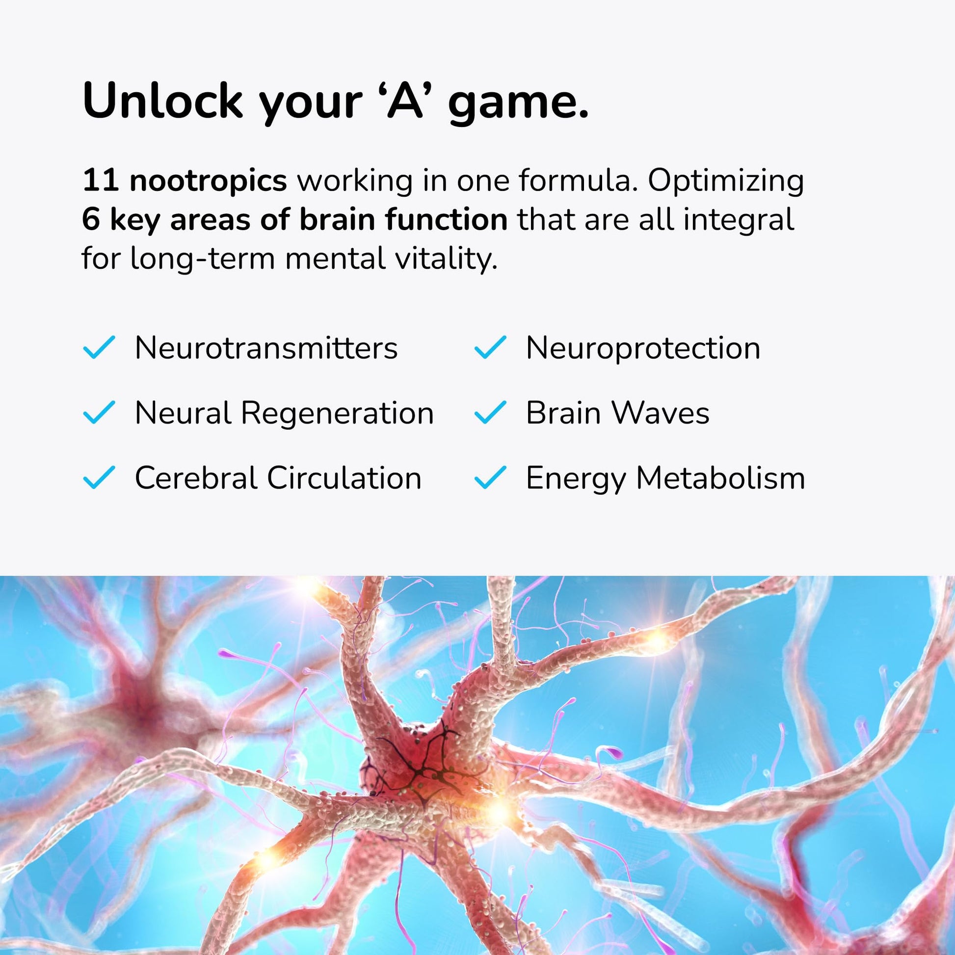 Mind Lab Pro® MLP® v4 Universal  Booster Supplement for Focus, Memory, Clarity, Energy - 60-Count - Plant-Based, Naturally Sourced Memory Vitamins Mind Lab Pro buy supplements canada