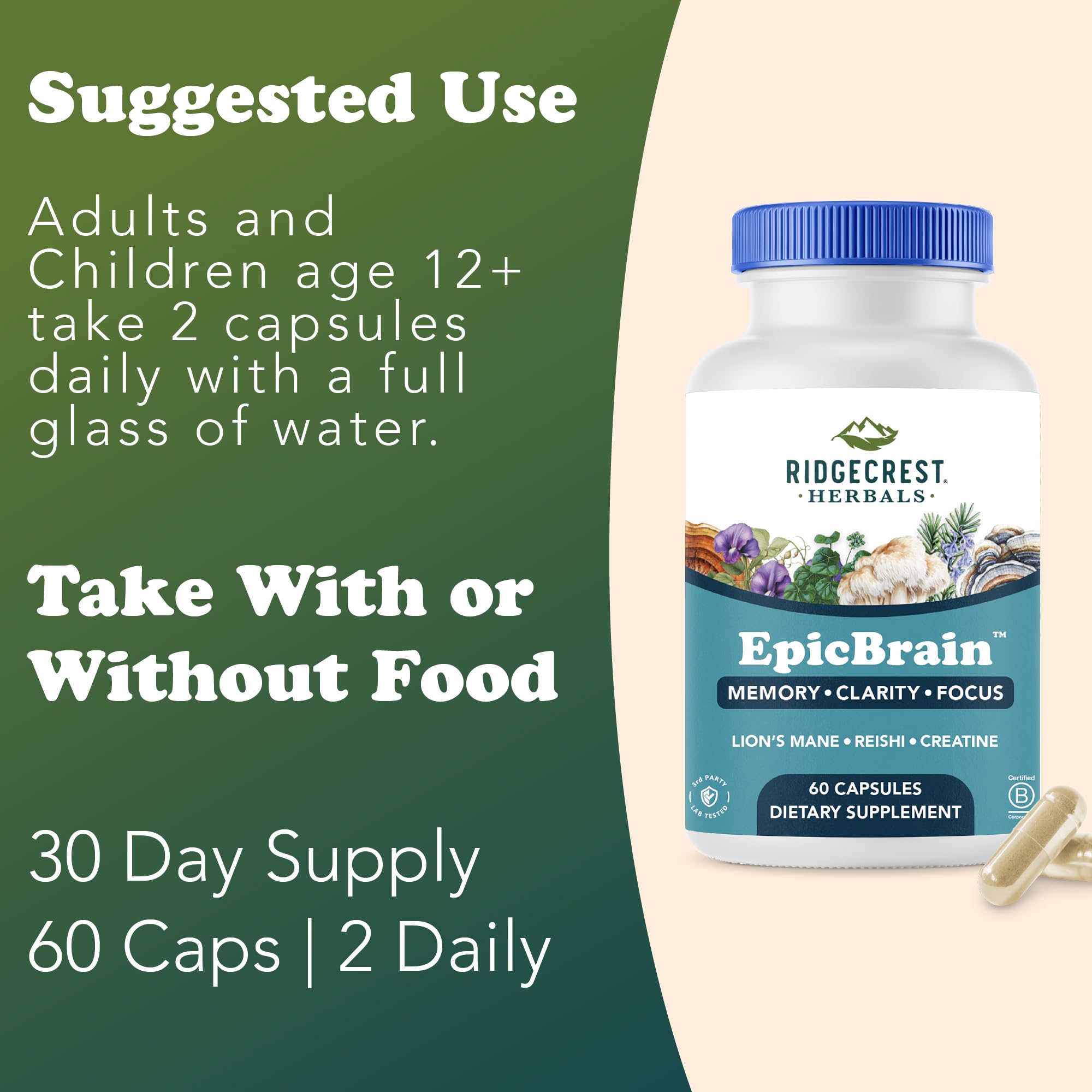 RidgeCrest Herbals EpicBrain, Natural Brain Support Supplement with Creatine Monohydrate, Lion's Mane, Reishi, Supports Mental Clarity, Memory, Focus, Stimulant-Free Nootropic (60 Count, 30 Servings) RidgeCrest Herbals buy supplements canada