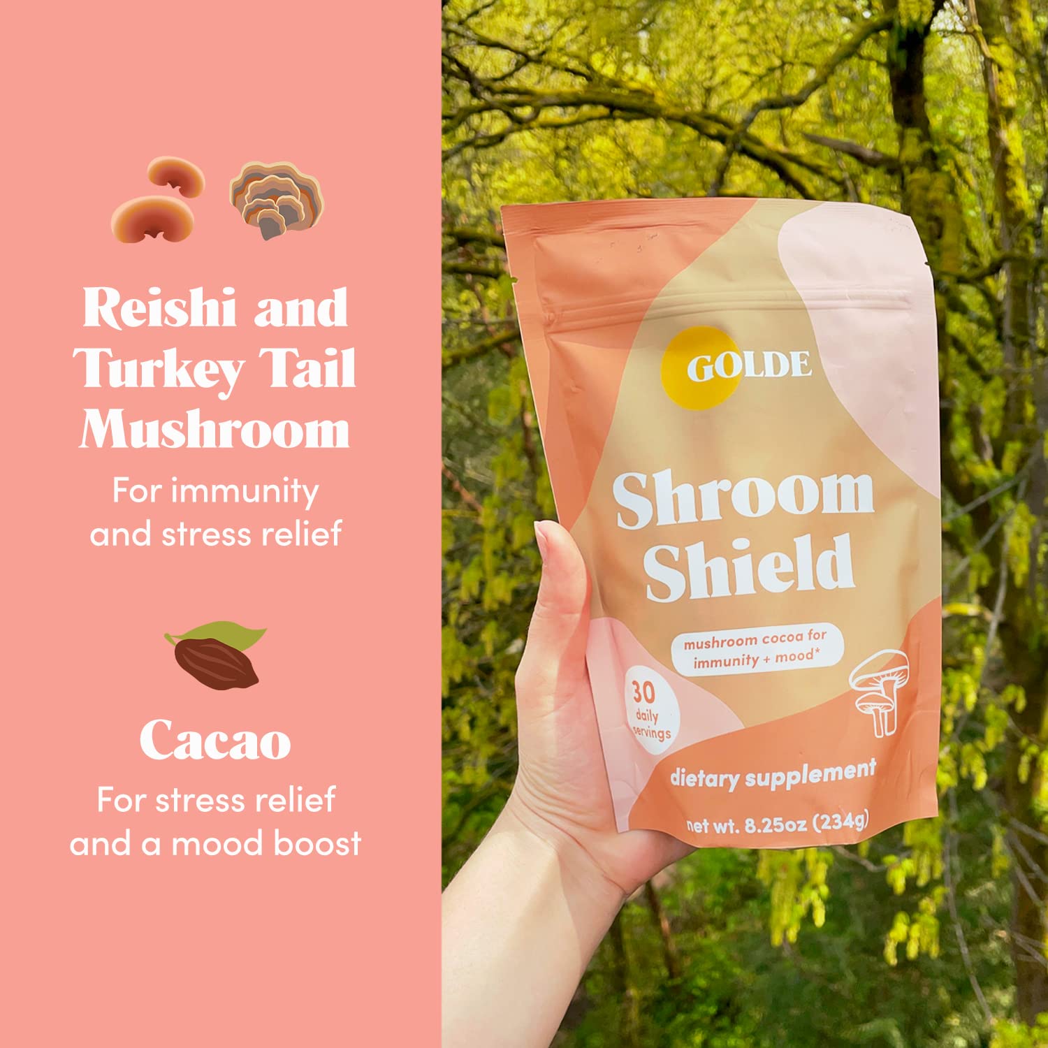 GOLDE Shroom Shield - Plant Based Superfood Blend w/Turkey Tail Mushroom & Reishi Mushroom Extract - Stress Defense - Antioxidants & Prebiotics - Vegan, Keto, & Sugar-Free Hot Cocoa - 30 Servings GOLDE buy supplements canada