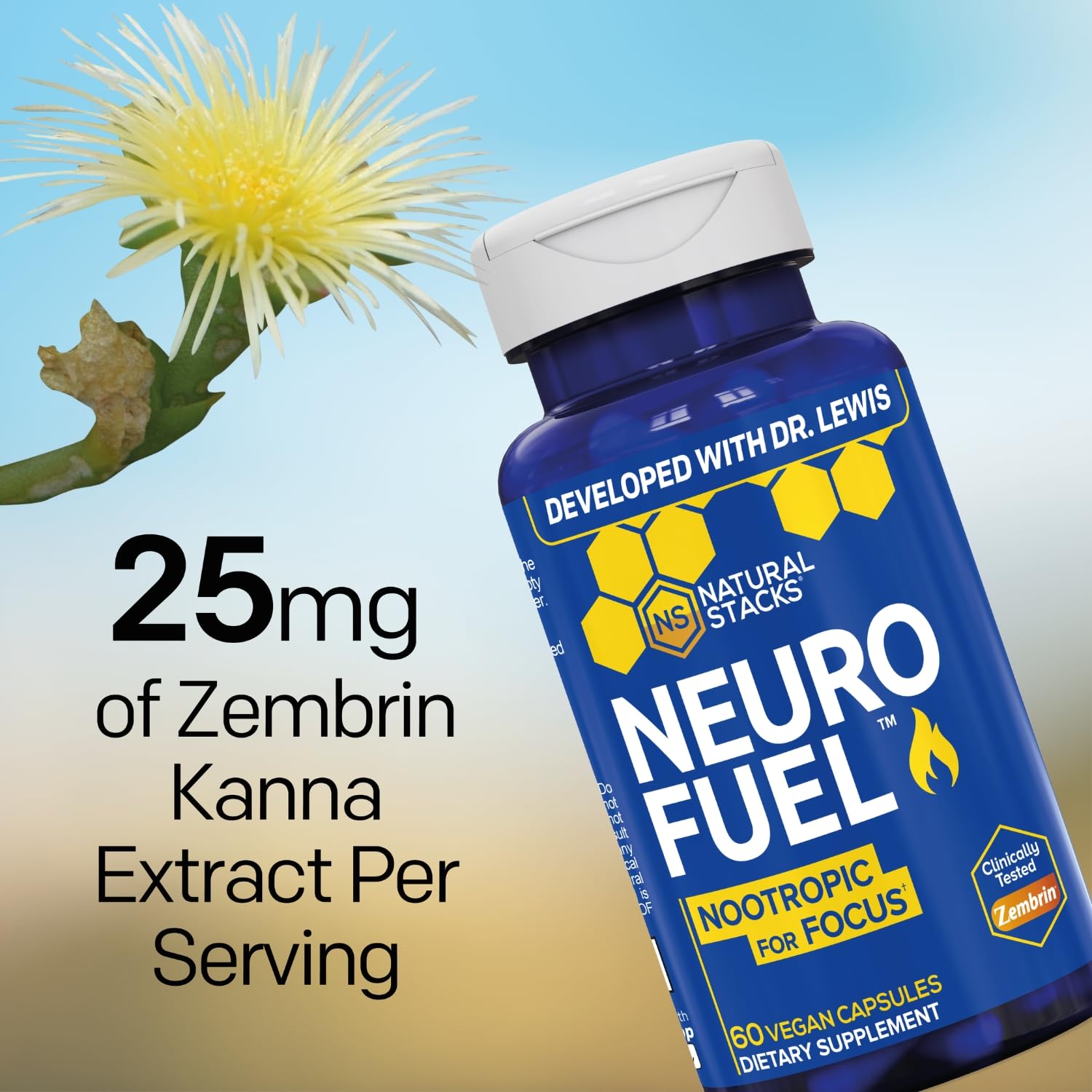 NATURAL STACKS NeuroFuel Nootropic with Zembrin - Doctor Developed Memory & Focus Supplement - Kanna Extract Sceletium Tortuosum - Nootropic Brain Supplement for Focus - 60 Zembrin Capsules NATURAL STACKS buy supplements canada