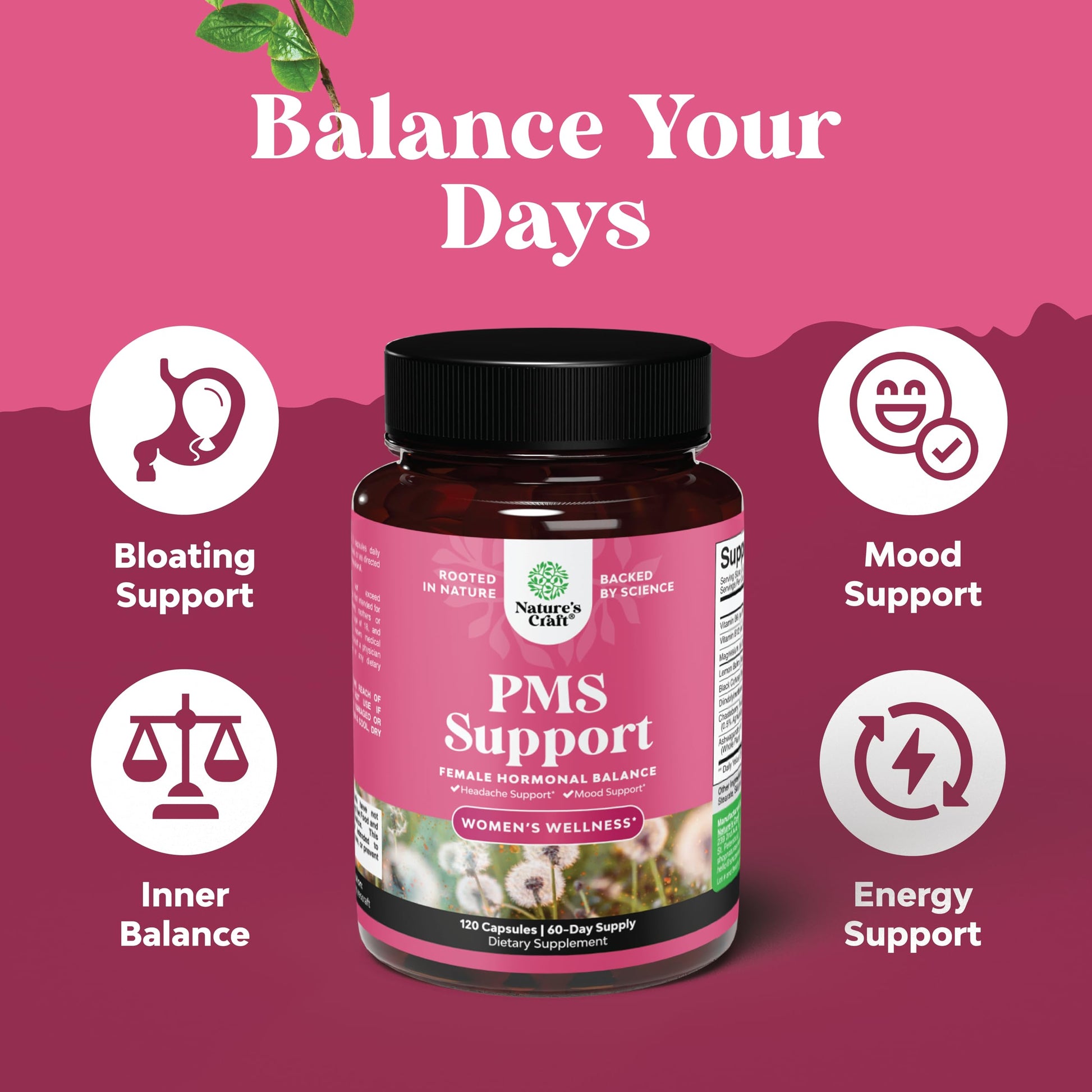 PMS Support Supplement for Women – Hormone Balance for Women & Menstrual Discomfort with DIM, Chasteberry, Black Cohosh & Ashwagandha - for Period Cramps Ease, Menopause Bloating, Mood Swing – 120 Ct Natures Craft buy supplements canada