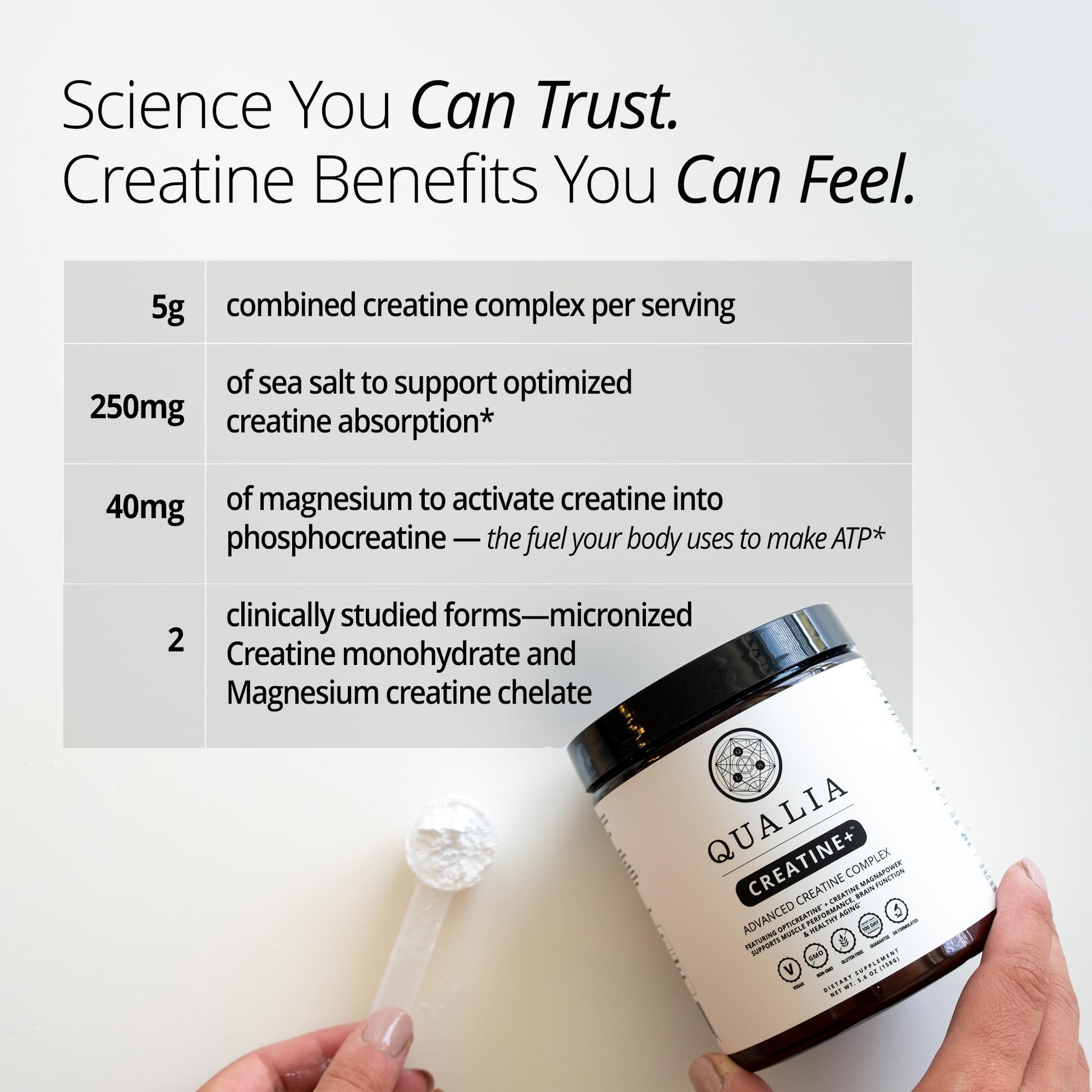 Qualia Creatine | Advanced Creatine Complex | 2 Sources + Magnesium | Optimized Absorption | Muscle Performance, Brain Function, & Healthy Aging (30 Servings) QUALIA LIFE SCIENCES buy supplements canada
