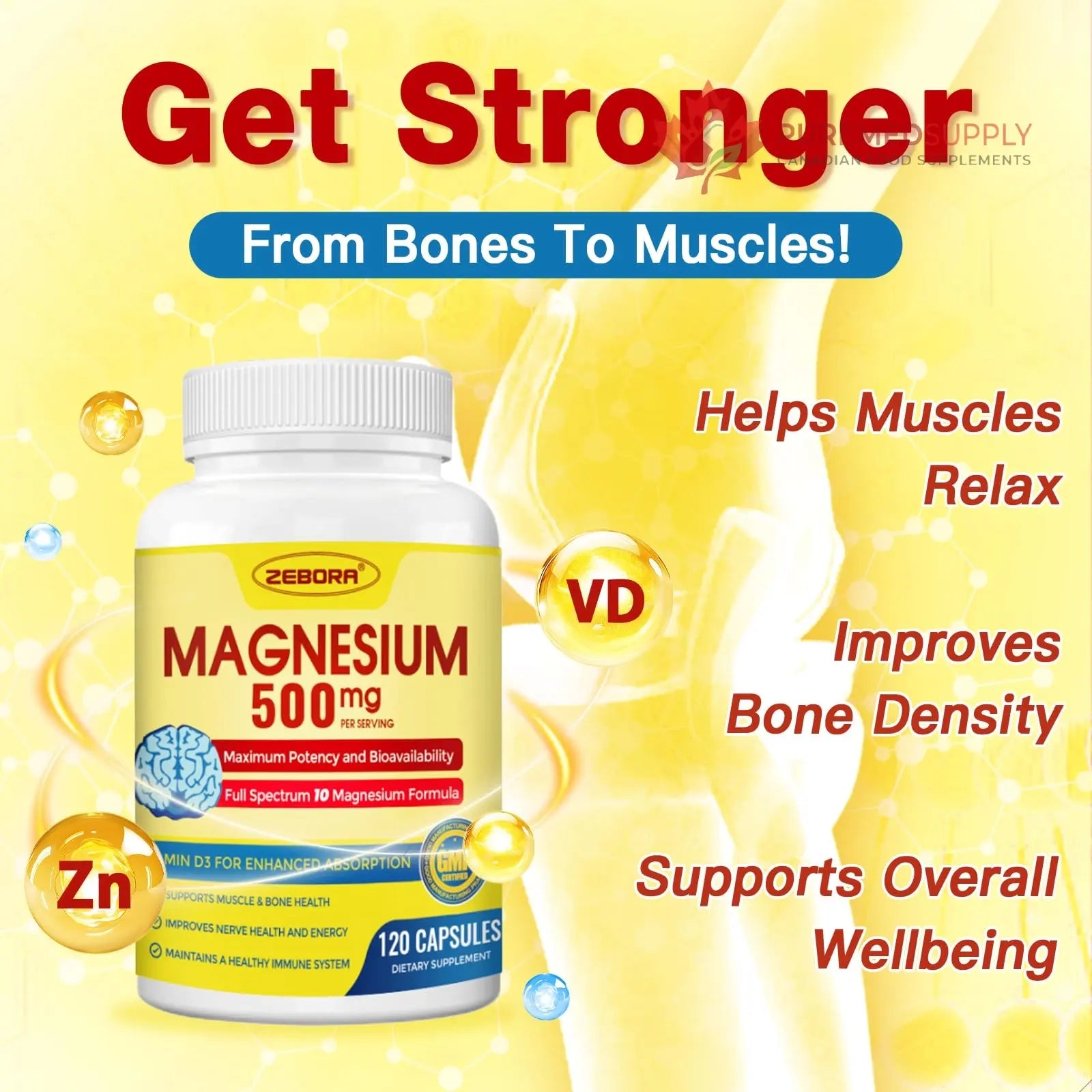 10-in-1 Magnesium Complex Supplement, Magnesium Glycinate 500mg with Citrate & Malate, Chelated High Absorption Plus Vitamin D3 & Zinc - for Nerve, Muscle & Bone Support - 120 Capsules ZEBORA buy supplements canada