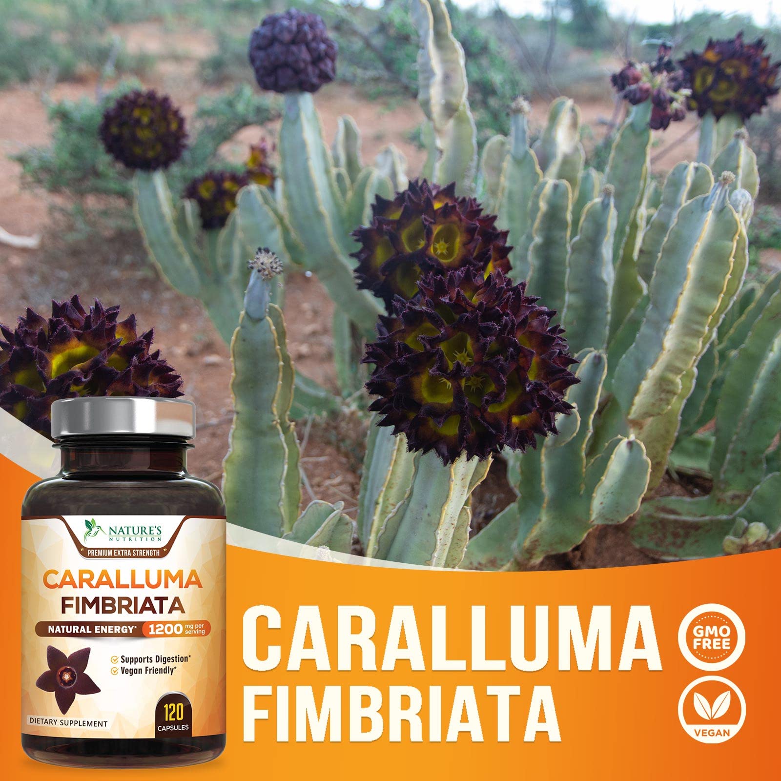 Pure Caralluma Fimbriata Extract Highly Concentrated 1200mg - Natural Endurance Support Nature's Nutrition buy supplements canada