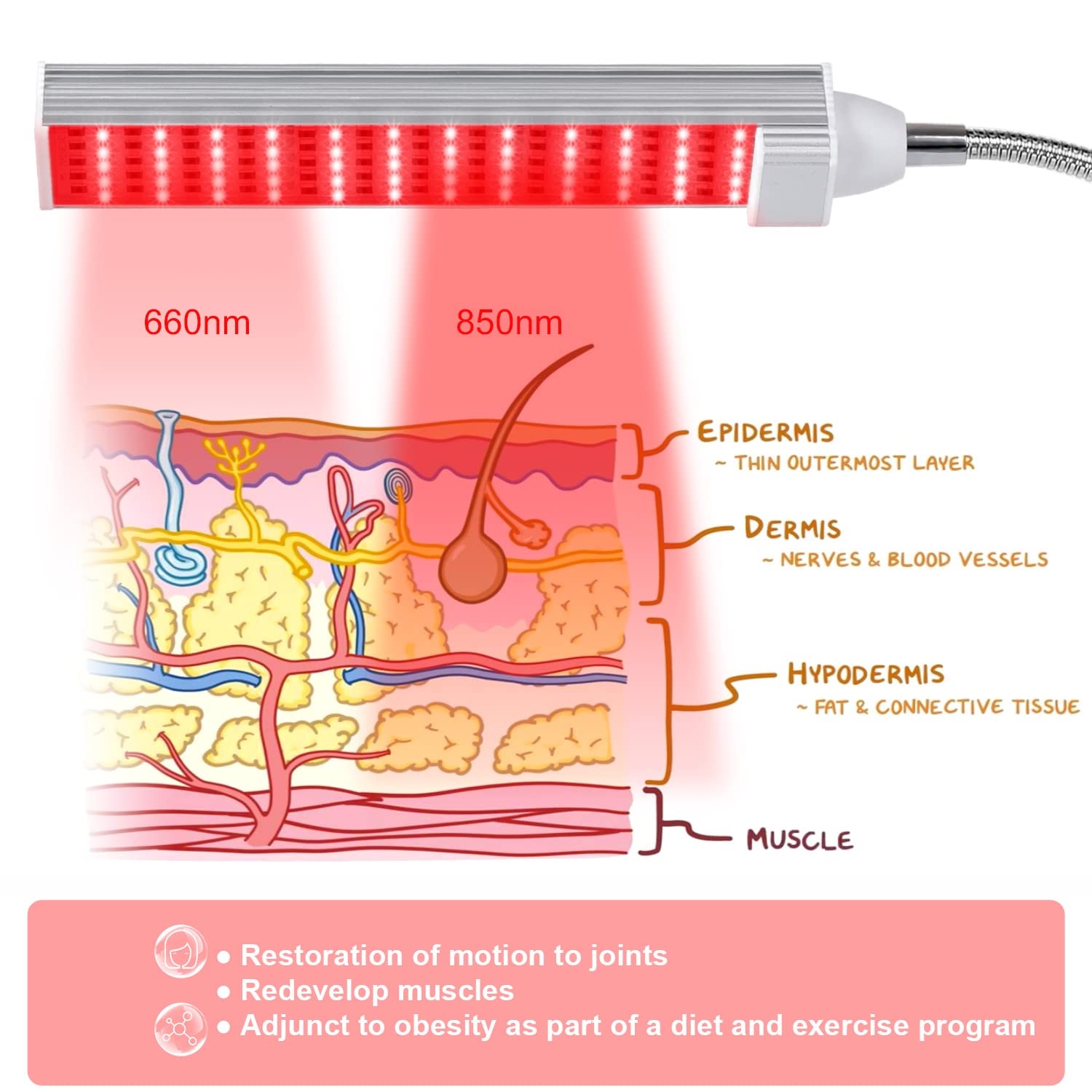 MAINENG Infrared & Red Light Therapy Lamp with Timer, 660nm & 850nm LED - M7685 MAINENG buy supplements canada