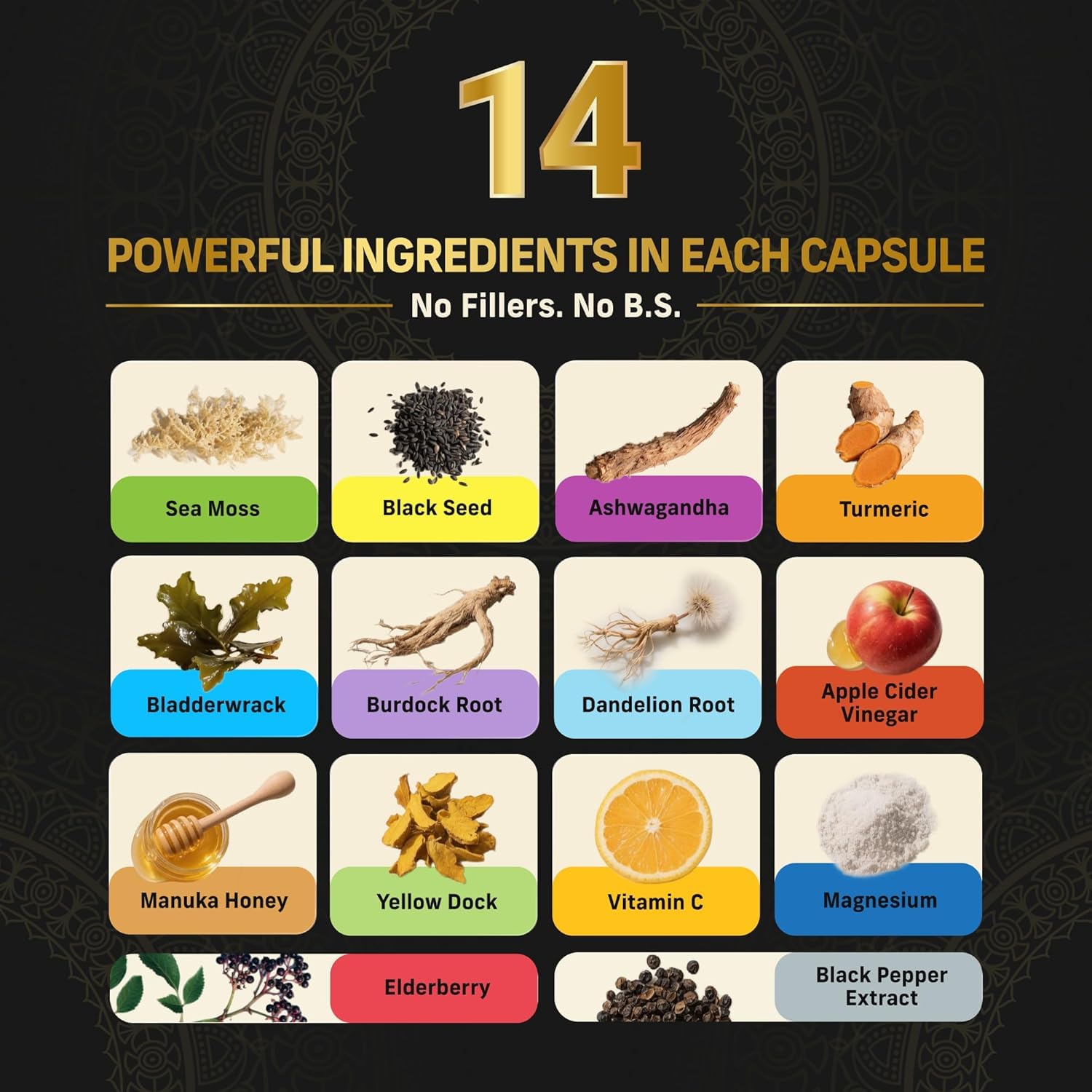 Alpha Tribe Multivitamin for Men with Sea Moss, Black Seed Oil, Ashwagandha, Turmeric, Bladderwrack, Burdock, Vitamin C, Elderberry, Manuka | Daily Vitamins & Minerals Supplement Capsules - 240 Count Alpha Tribe buy supplements canada