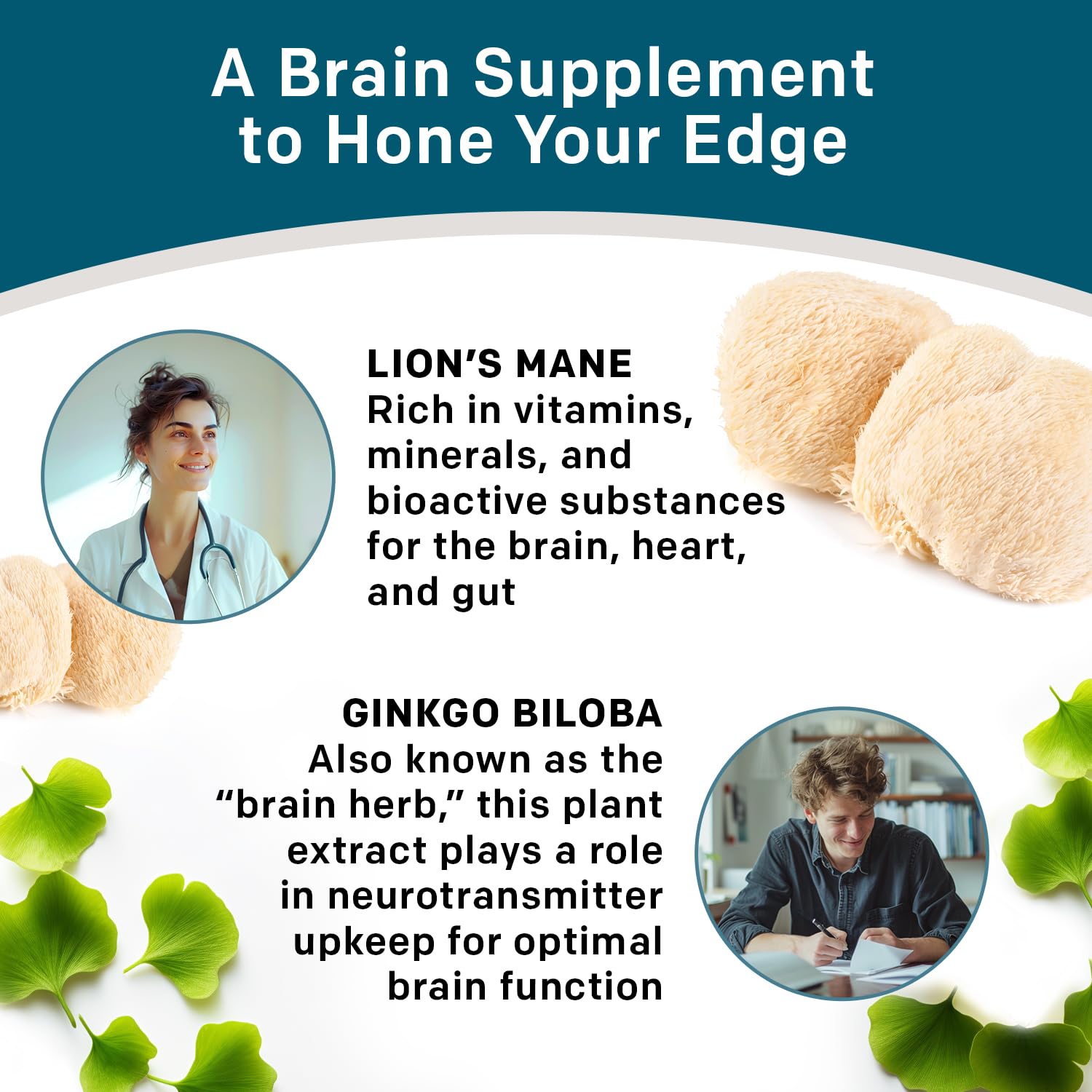 14-in-1 Lions Mane Supplement Capsules - Nootropic Brain Supplement with Ginkgo Biloba for Brain Support, Memory and Focus - Alpha GPC, L Theanine & Choline Supplements with 1300mg Per Serving (60 ct) PrimeMD buy supplements canada