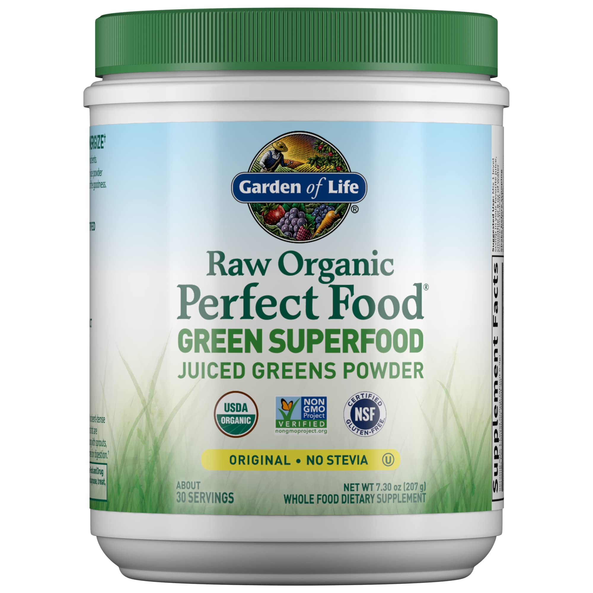 Garden of Life Raw Organic Perfect Food Alkalizer & Detoxifier Juiced Greens Superfood Garden of Life buy supplements canada