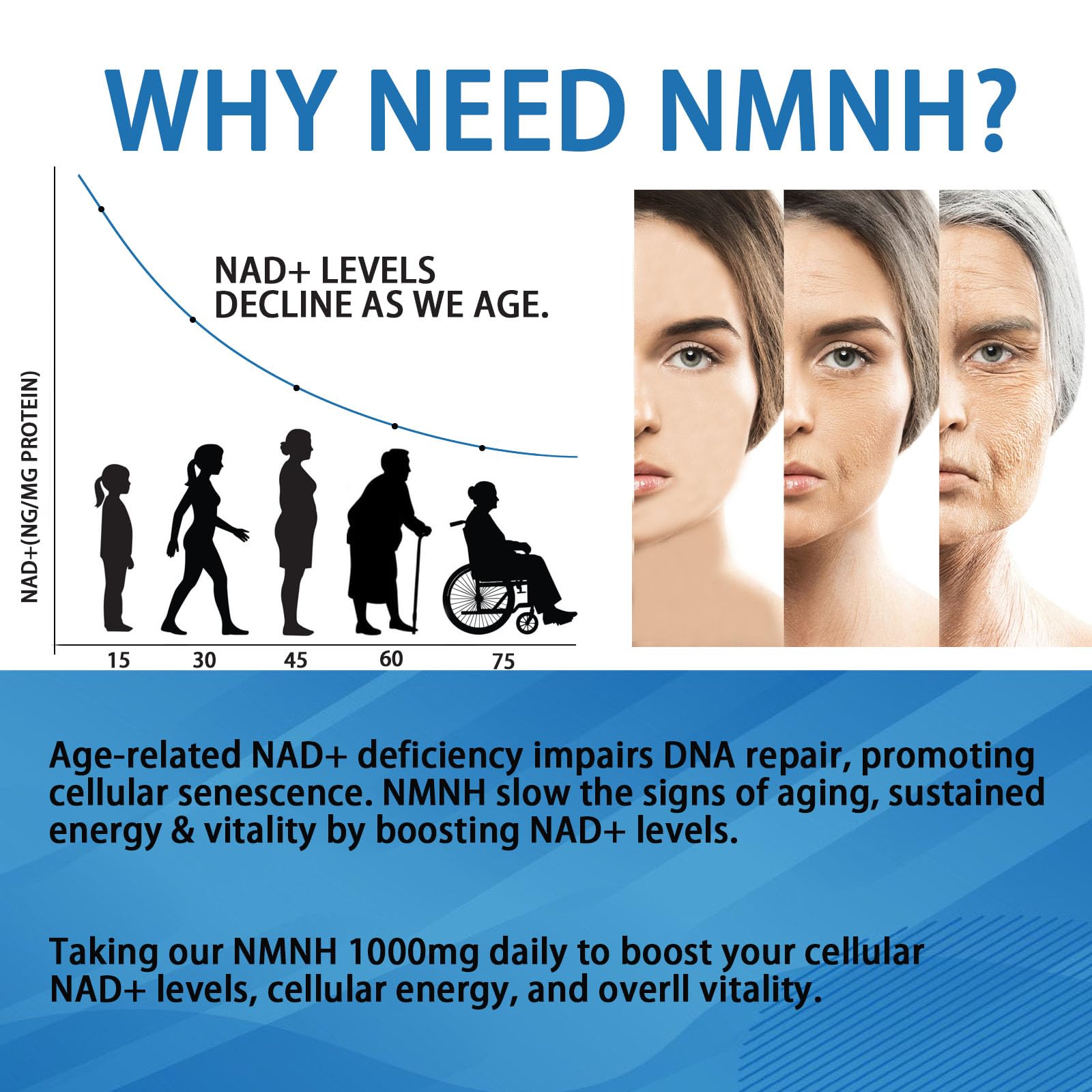 YZQ WAIDE NMNH (Dihydronicotinamide Mononucleotide), 1000mg NMNH Supplement to Boost NAD+ Levels Resveratrol Supplement with Quercetin for Energy, Aging, Non-GMO, Gluten Free, 120 Capsules YZQ WAIDE buy supplements canada