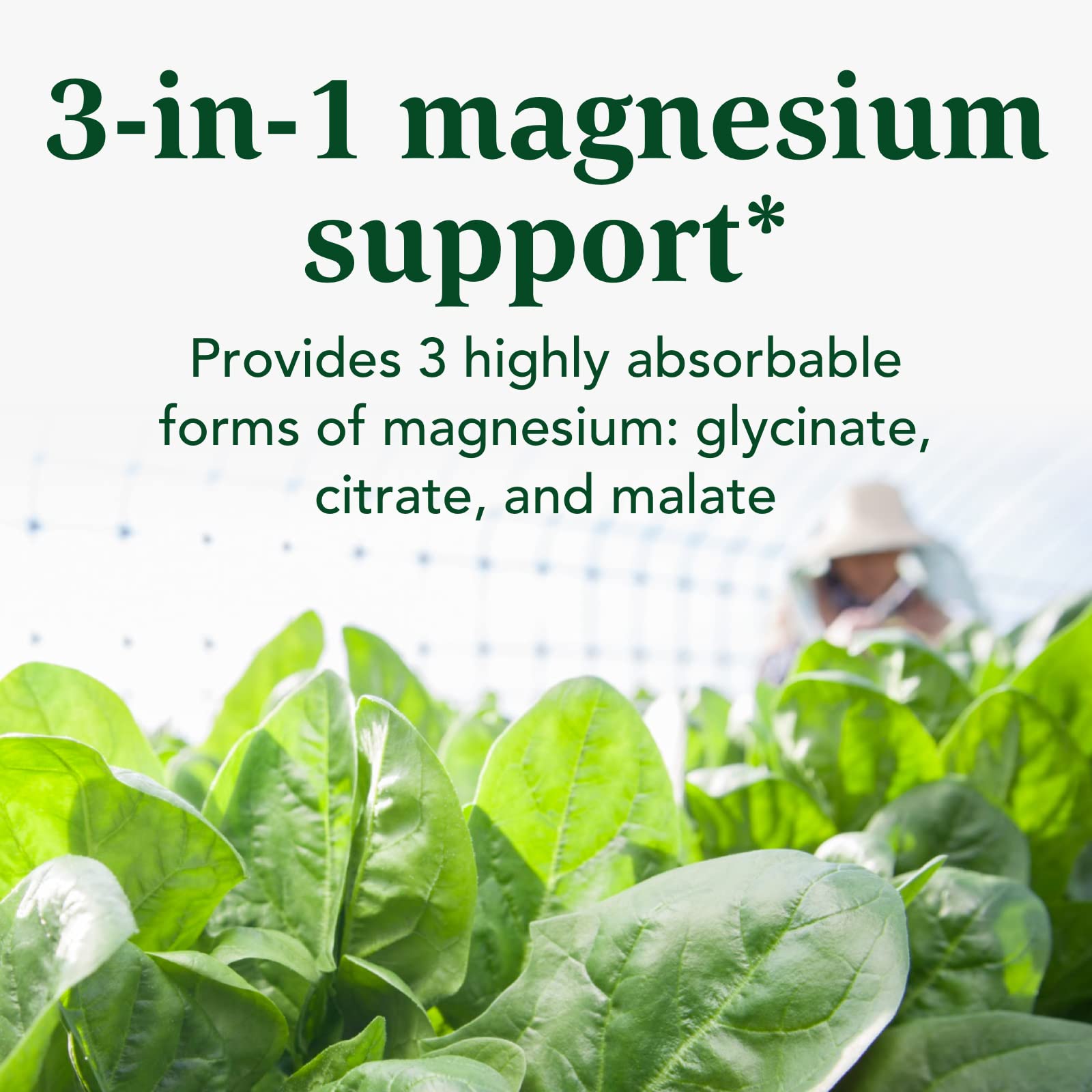 INNATE Response Formulas Magnesium 300 mg - Mineral Supplement for Muscle Relaxation - Vegetarian and Gluten-Free - 120 Capsules (60 Servings) INNATE Response Formulas buy supplements canada