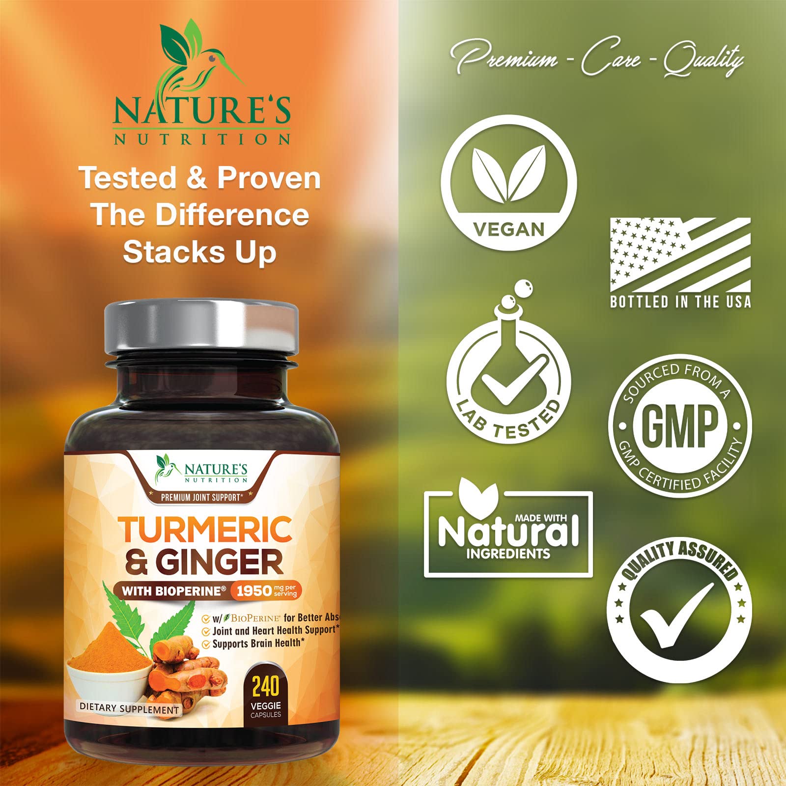 Turmeric Curcumin with BioPerine & Ginger 95% Standardized Curcuminoids 1950mg Nature's Nutrition buy supplements canada