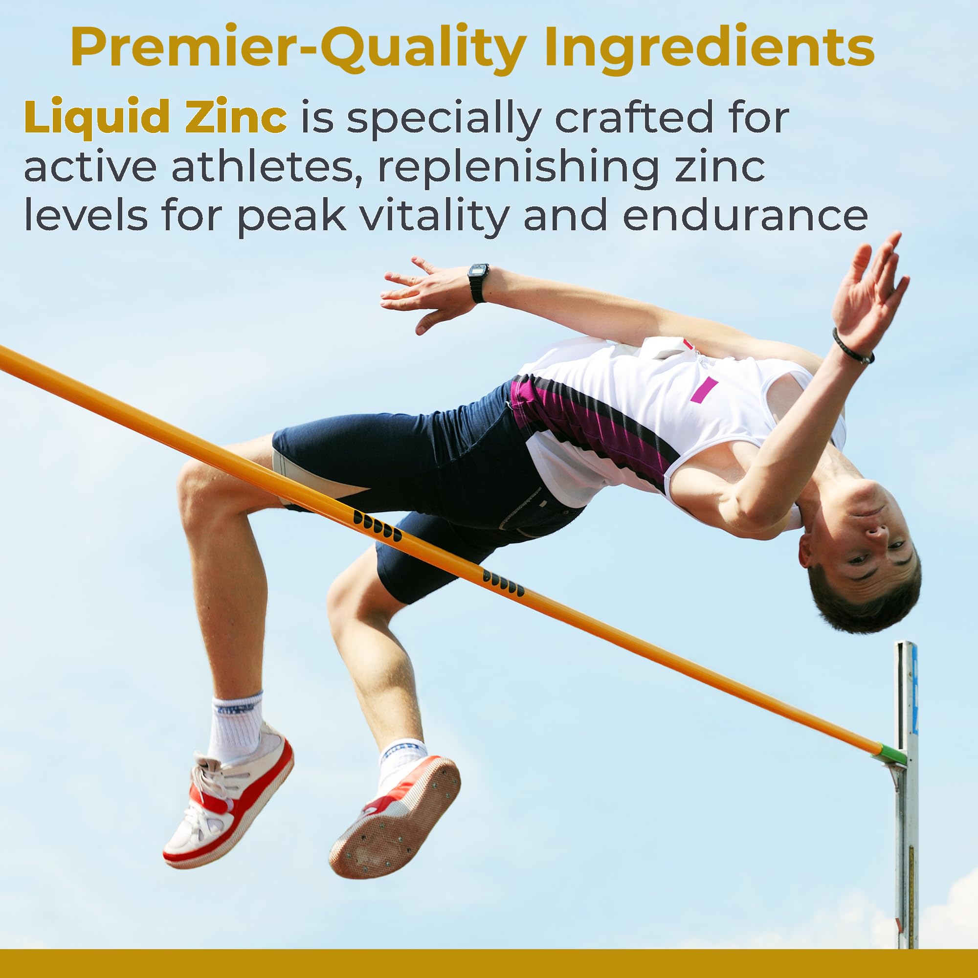 Premier Research Labs Liquid Zinc Ultra Supplement - for Immune Support & Well-Being for Adults & Kids - Highly Absorbable Drops - Used for Rapid Analysis of Zinc Status - 8 fl oz Premier Research Labs buy supplements canada
