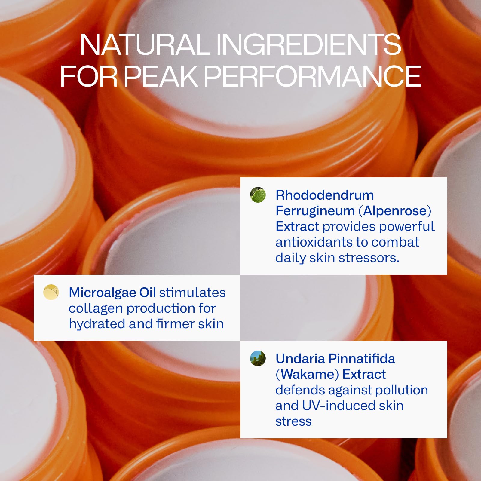 Peak Performance Sun Stick SPF 50 | 100% Mineral Sunscreen | Lightweight, 40-Min Water-Resistant | Plant-Based, Eco-Friendly, Reef-Safe, Cruelty-Free | All Skin Types | 0.70 oz | Pack of 2 Freaks of Nature buy supplements canada