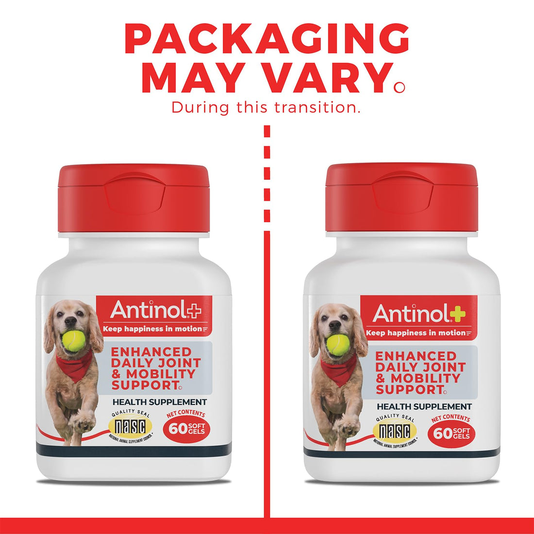 Antinol Plus, Mobility, Hip, and Joint Supplement for Dogs, Green-Lipped Mussels and Krill Oil - Dog Joint Supplement, Better and Faster Than Glucosamine and Chondroitin, 120 Soft Gels Antinol buy supplements canada
