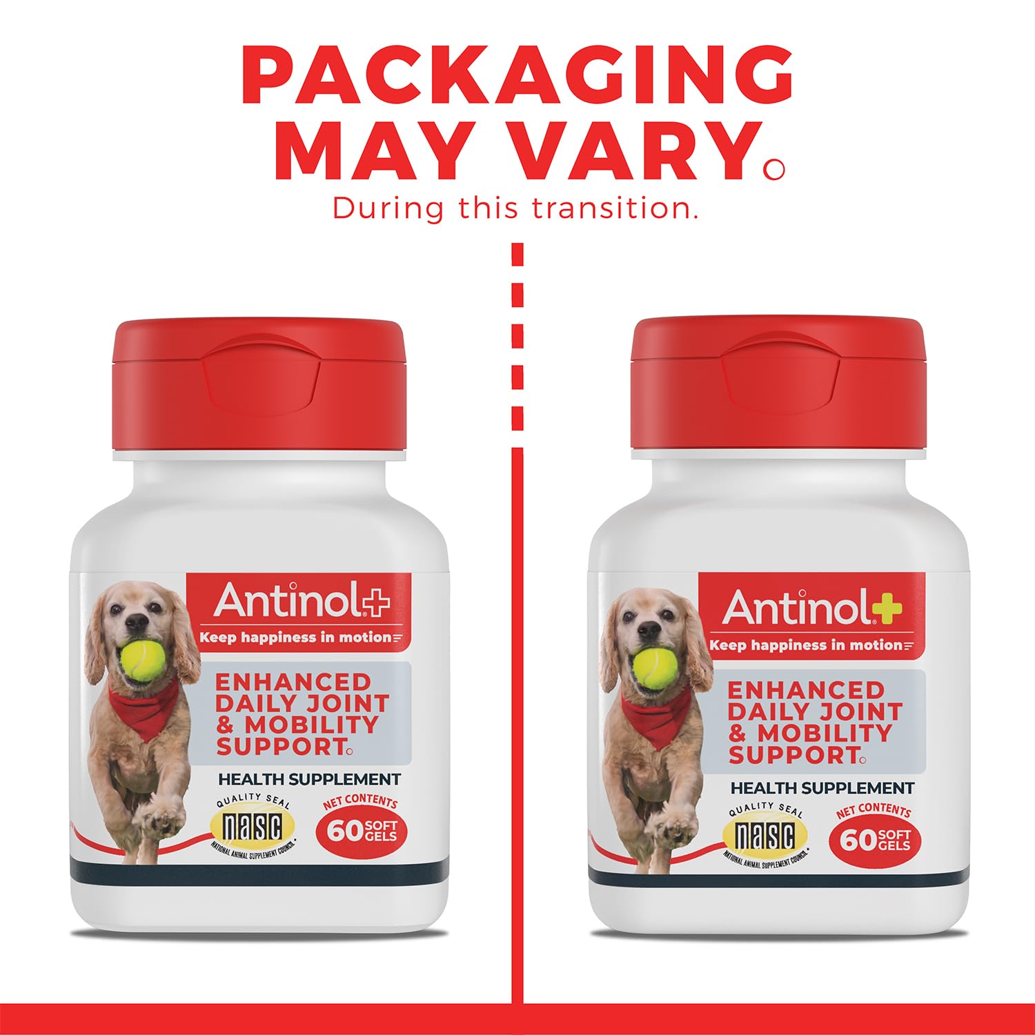 Antinol Plus, Mobility, Hip, and Joint Supplement for Dogs, Green-Lipped Mussels and Krill Oil - Dog Joint Supplement, Better and Faster Than Glucosamine and Chondroitin, 120 Soft Gels Antinol buy supplements canada