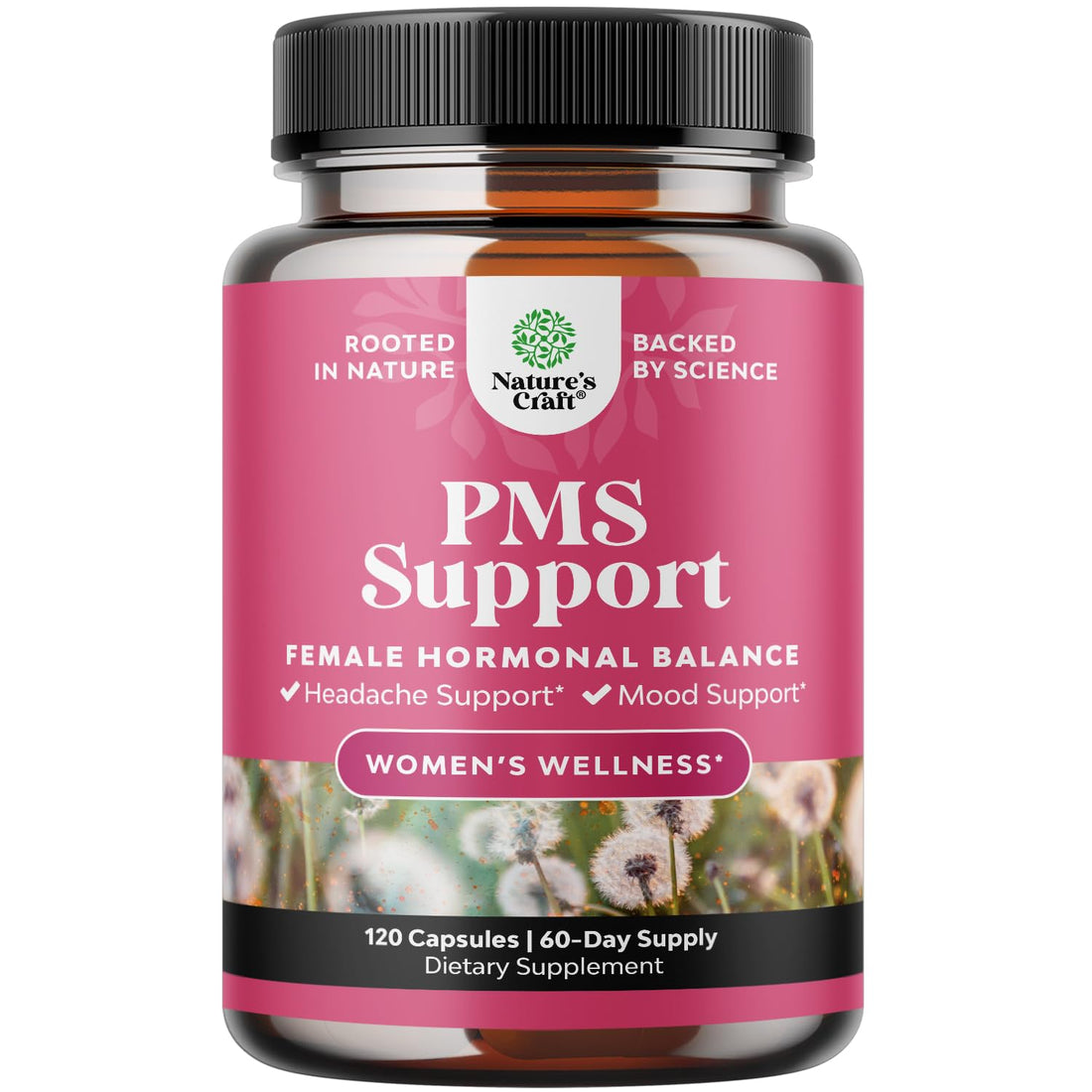 PMS Support Supplement for Women – Hormone Balance for Women & Menstrual Discomfort with DIM, Chasteberry, Black Cohosh & Ashwagandha - for Period Cramps Ease, Menopause Bloating, Mood Swing – 120 Ct Natures Craft buy supplements canada