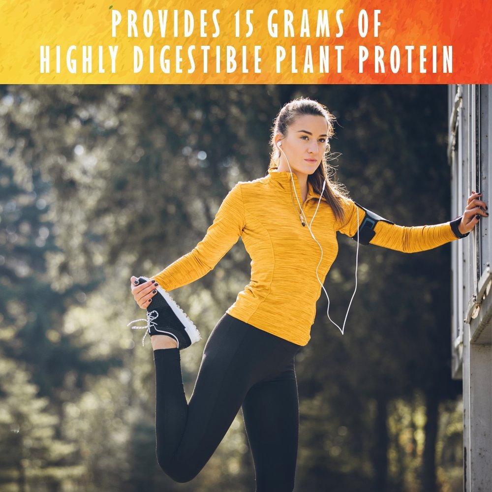 Garden of Life Organic Plant Protein Smooth Energy Powder, 10 Servings - Vegan, Grain Garden of Life buy supplements canada