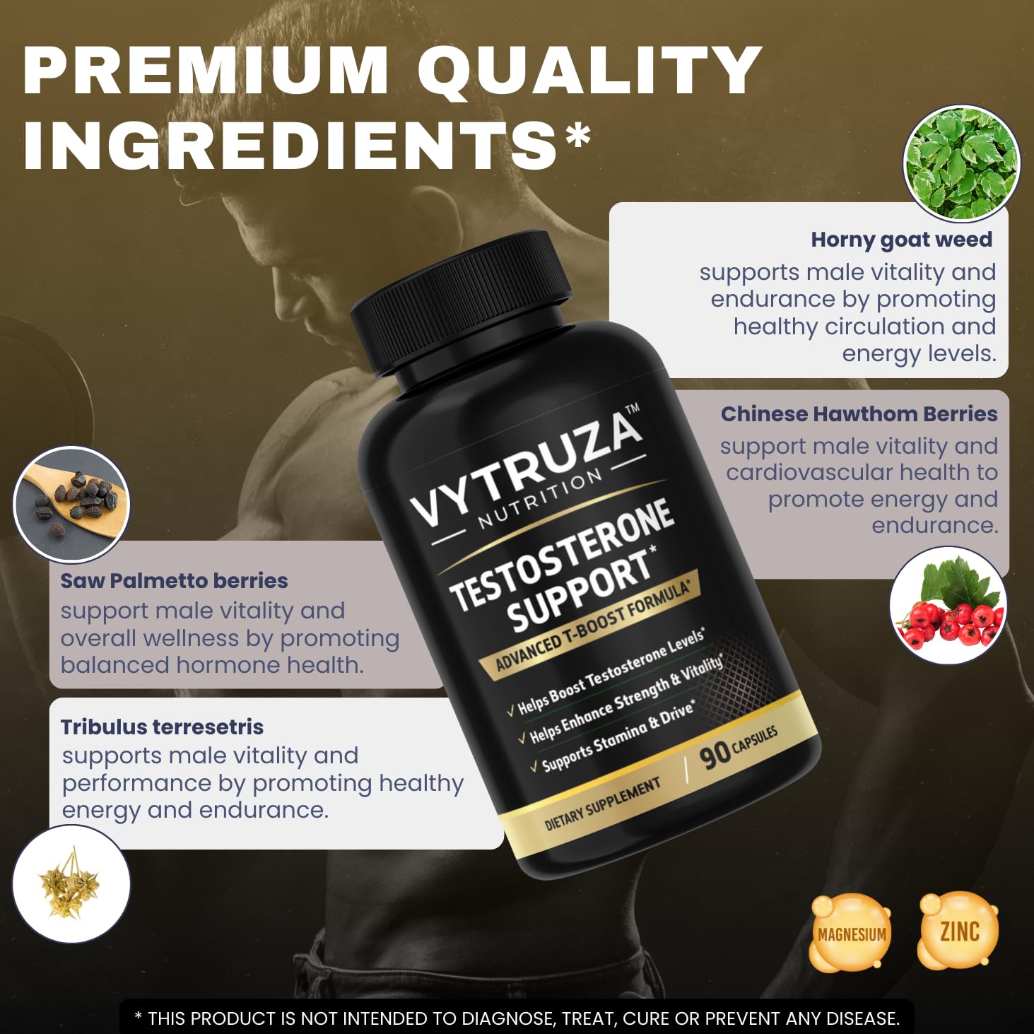 VYTRUZA Nutrition Advanced T-Boost Formula Test Support Capsules, Premium Ingredients, Energy, Strength Support Supplement for Men, 90 Capsules VYTRUZA buy supplements canada