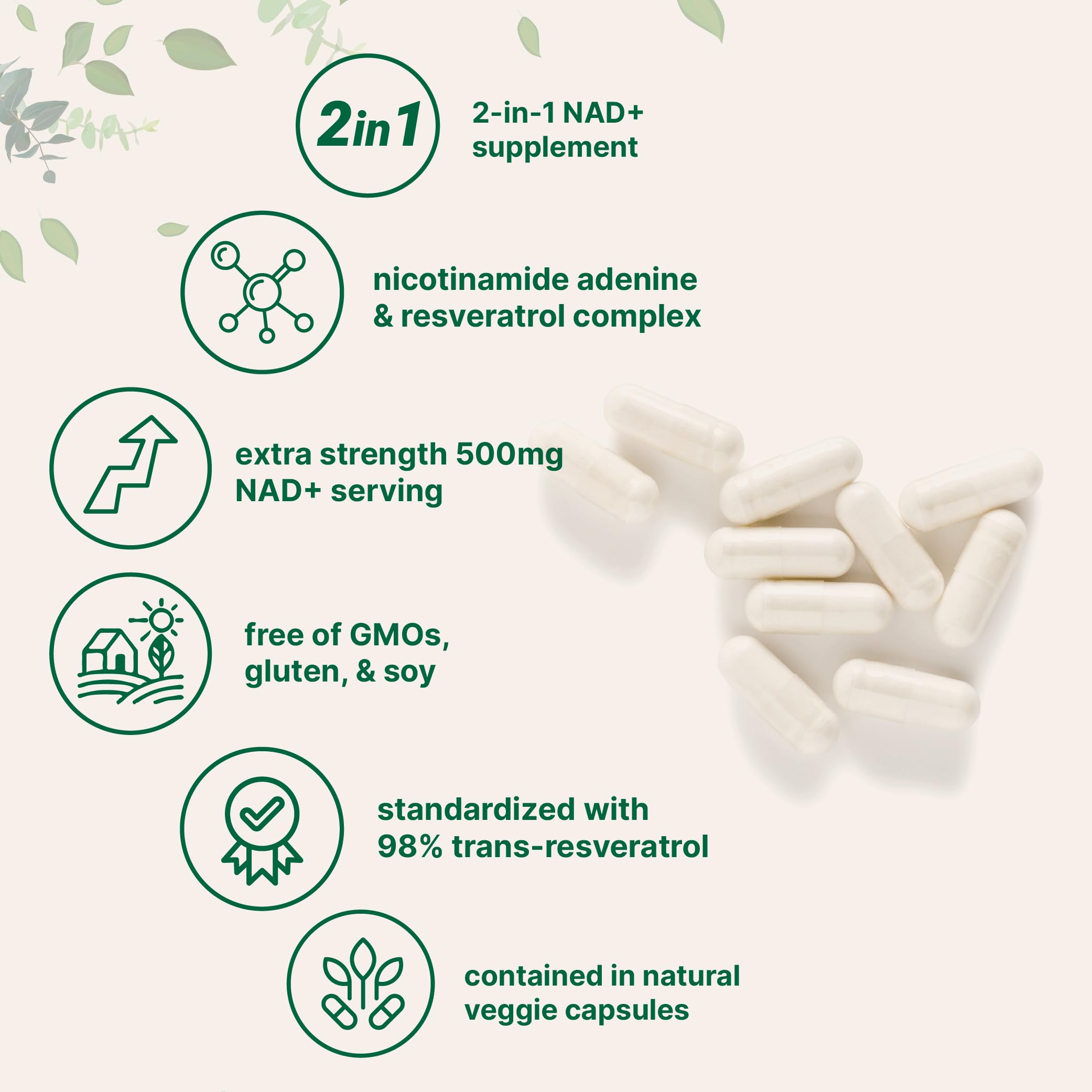 Micro Ingredients NAD+ 500mg with Resveratrol, 240 Veggie Capsules | 2-in-1 NAD Supplement for Women & Men | NMN Pathway Alternative | Non-GMO, Gluten Free Micro Ingredients buy supplements canada