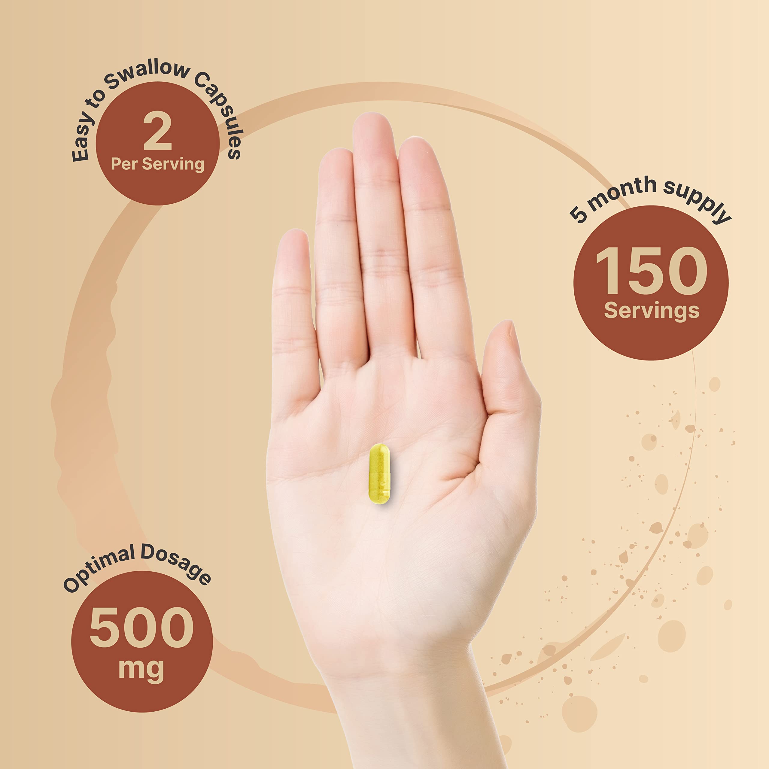 NatureBell Quercetin 500mg Per Serving | 300 Capsules, Ultra Strength Quercetin NatureBell buy supplements canada