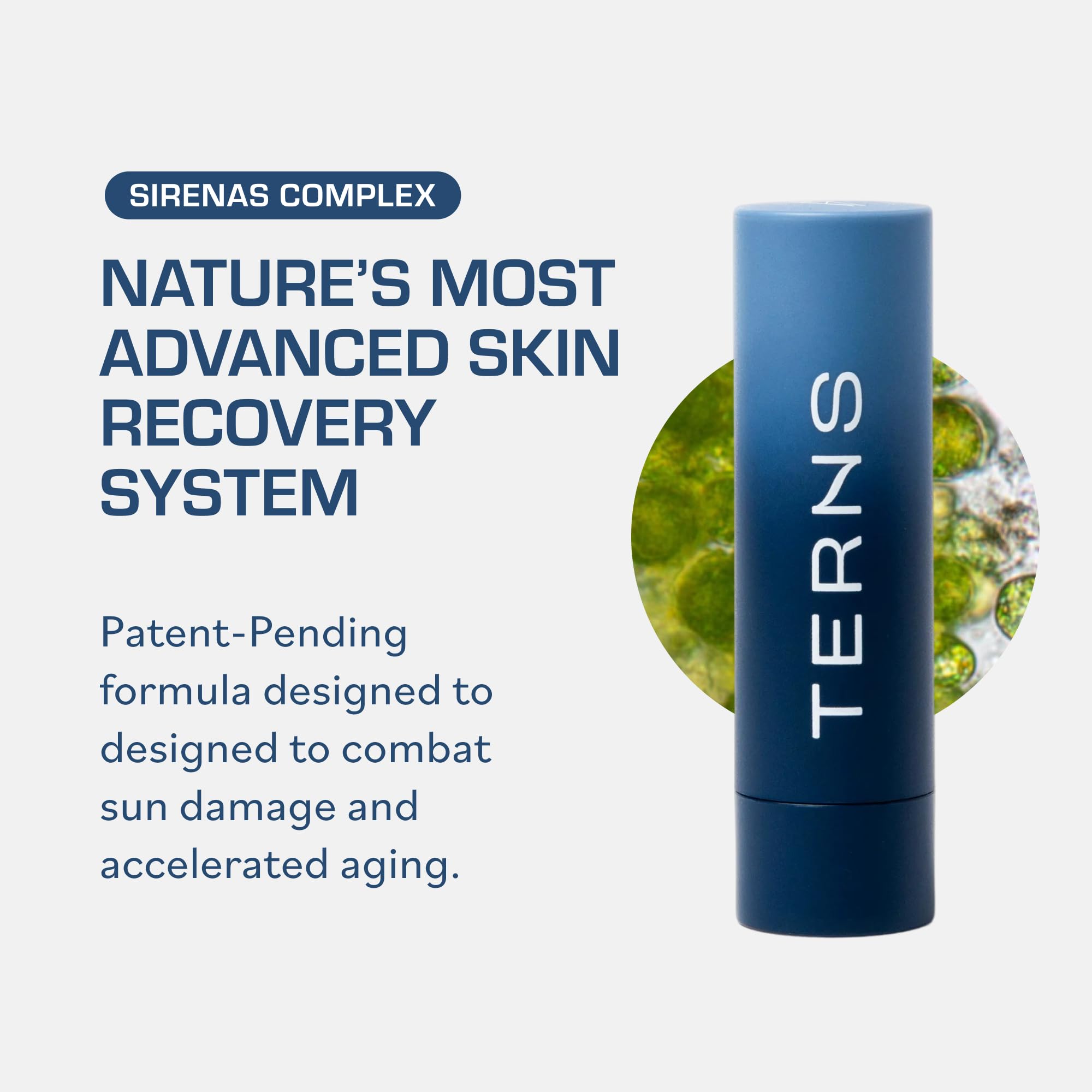 TERNS Everyday Lip Balm | Hyaluronic Acid + Baobab & Meadowfoam Oils, Algae-Powered Sirenas Complex OS, Refreshing Mint, Non-Sticky Cushion Glide, Cruelty-Free TERNS buy supplements canada