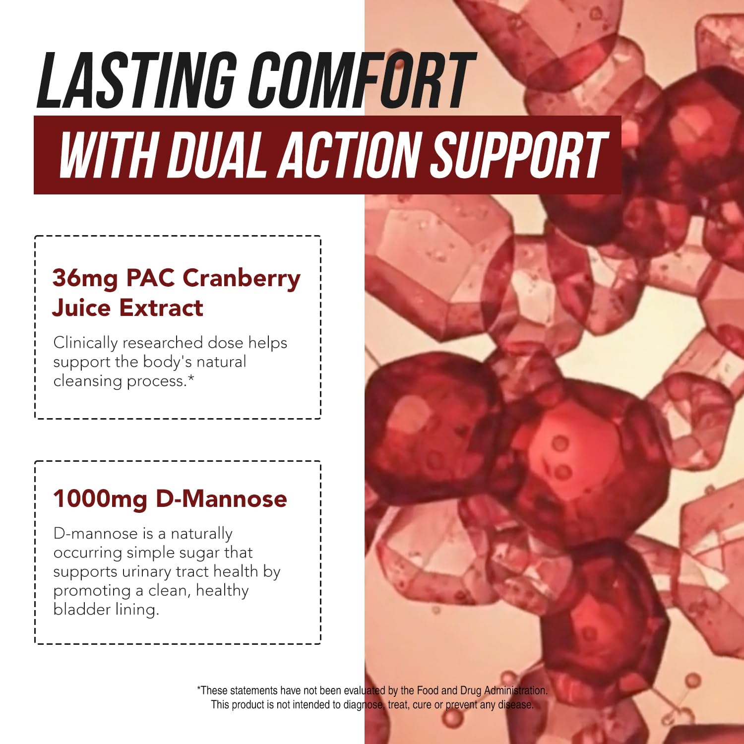 CranEaze®: Cranberry Juice Extract Plus D-Mannose – 36 mg PAC, 100% Soluble PAC - Supports Urinary Tract Health – Most Effective Cranberry Pills for Women, Triquetra Health buy supplements canada