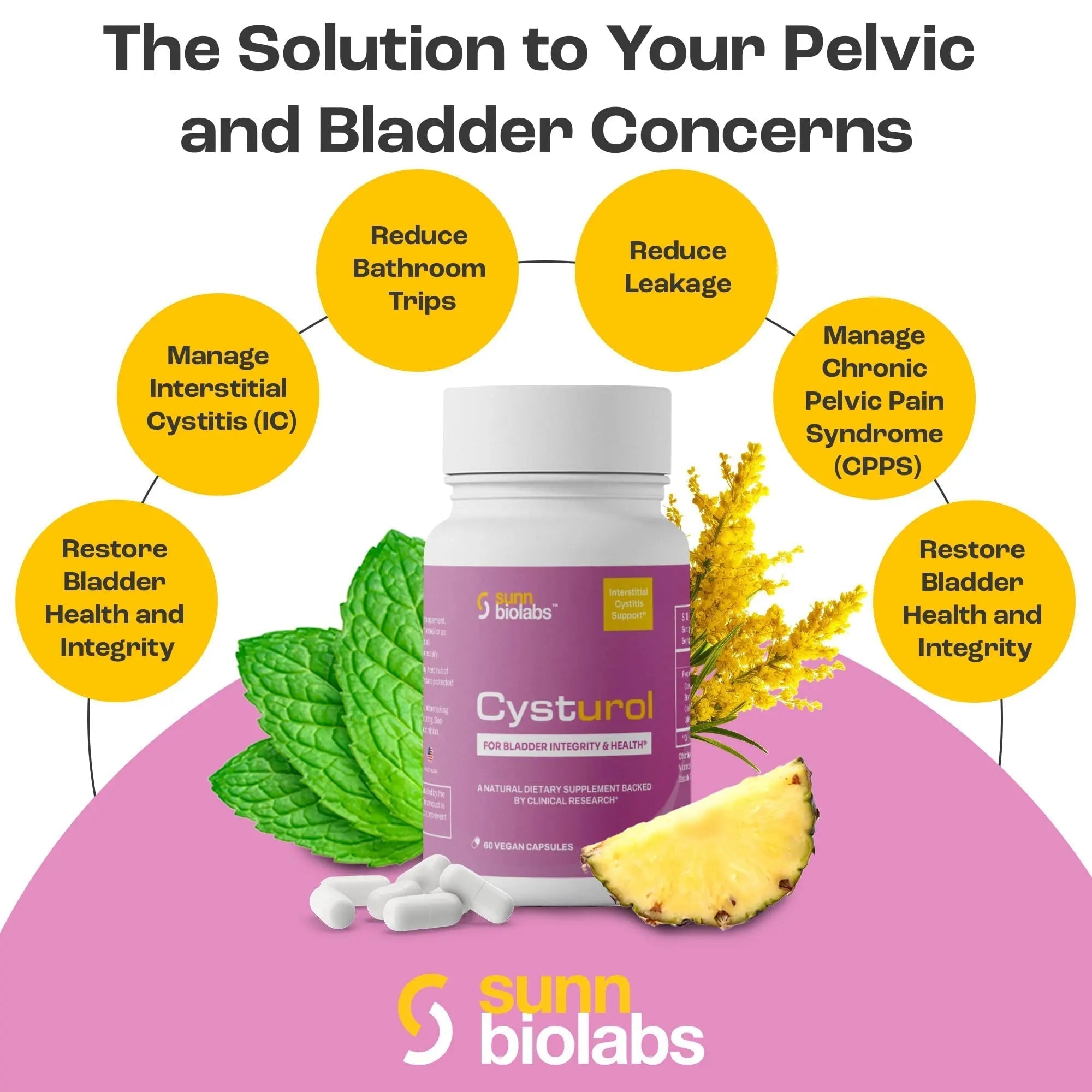 CYSTUROL® Bladder Support Supplement | Interstitial Cystitis (IC) | Bladder Pain | Urinary Tract Health | Clinically Studied Formula for Bladder Inflammation, UTI, Mast Cell Support & Urinary Urgency SUNN BIOLABS buy supplements canada