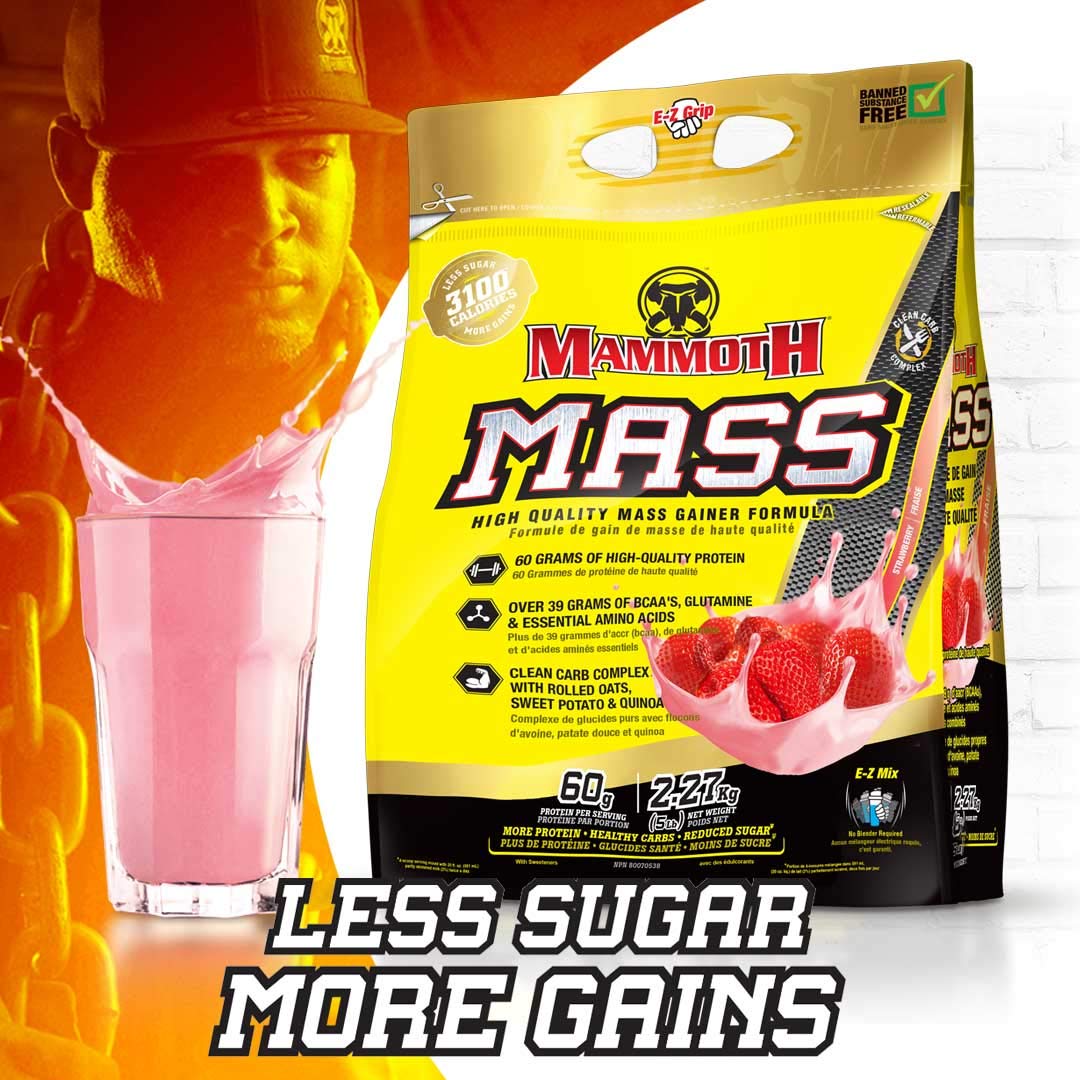Inter-Active Nutrition Mammoth Mass Supplement, 2.27kg Strawberry Mammoth buy supplements canada
