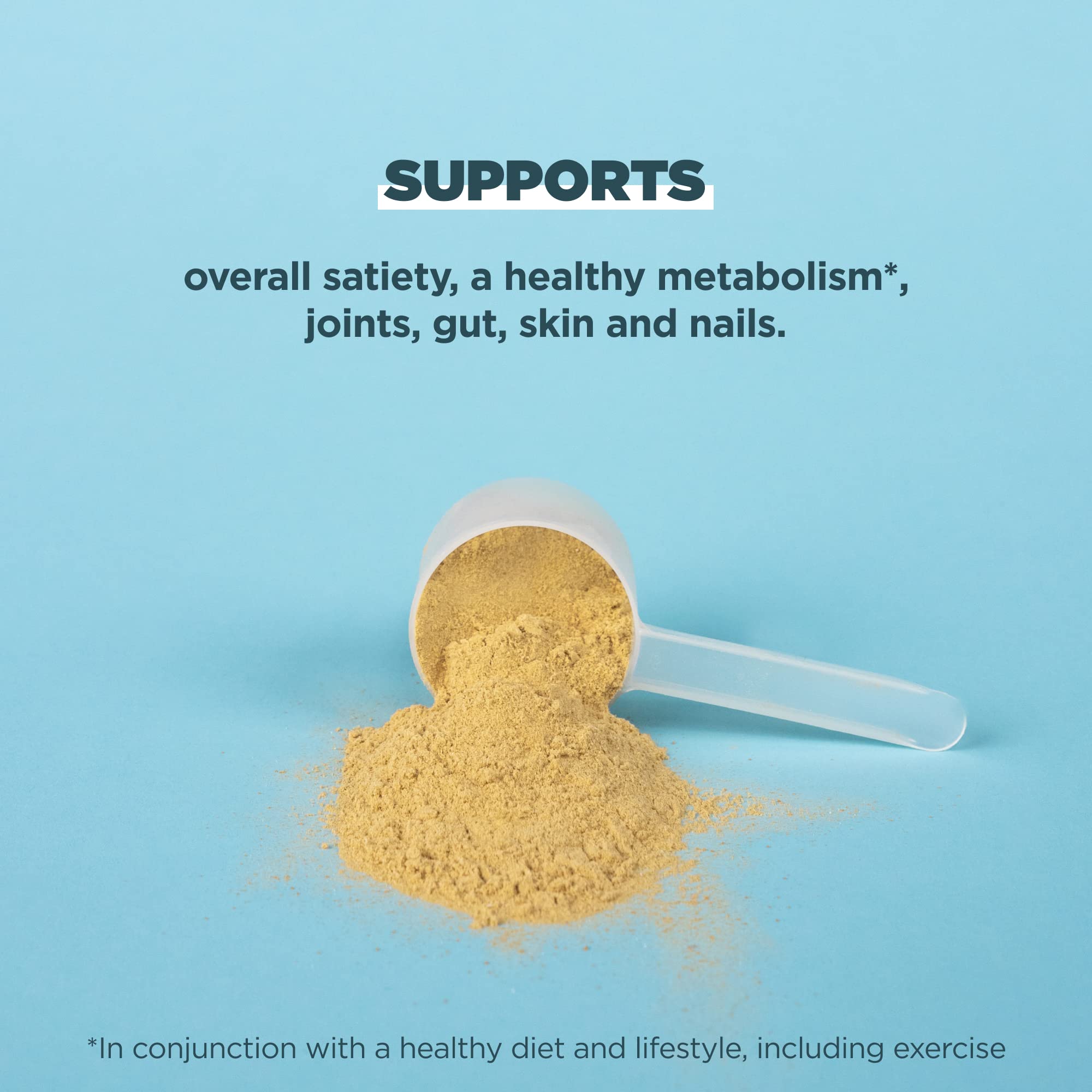 Ancient Nutrition Bone Broth Protein Powder, Butternut Squash, Grass-Fed Chicken Ancient Nutrition buy supplements canada