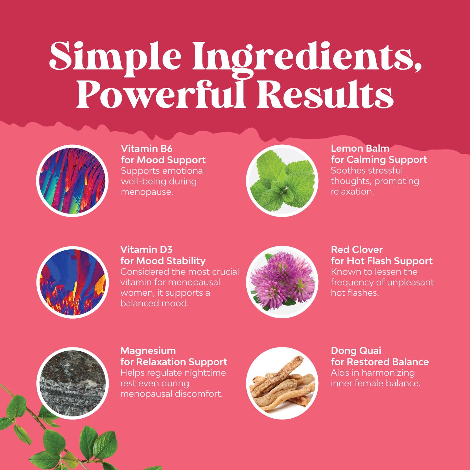 Complete Herbal Menopause Supplement for Women - Female Hormone Balance Capsules for Night Sweats Hot Flashes & Mood Swings with Dong Quai, Chaste Berry & Black Cohosh Root - 120 Count Pack Natures Craft buy supplements canada
