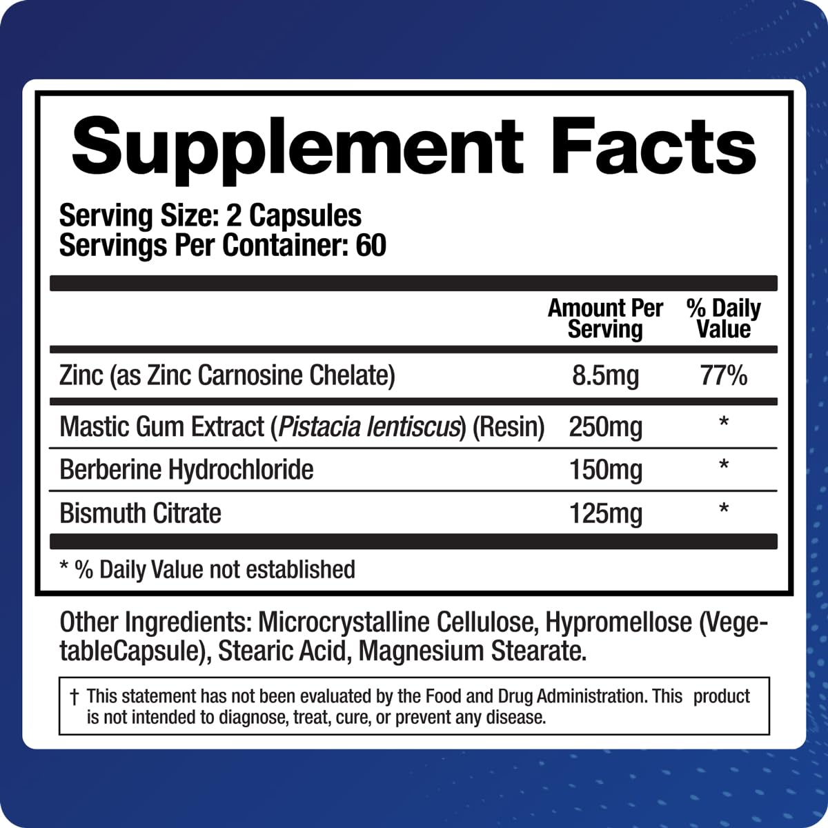 BioMatrix Pylor-X Gut Health Supplement – Mastic Gum, Berberine, Zinc Carnosine & Bismuth Salts for Gastric Support, Digestive Comfort, Stomach Lining Protection - (120 Capsules) 30-60 Day Supply BioMatrix buy supplements canada