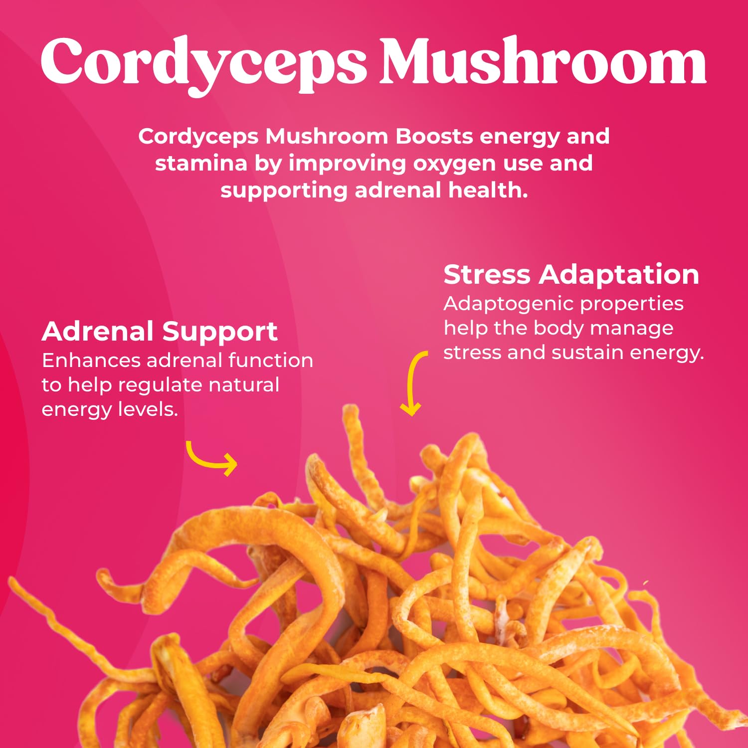 Fungiments Super Bouncy Mushroom Supplement – Cordyceps Focus Capsules for Adults – Natural Brain Boost, Green Tea Energy Vitamins Without jitters, Stamina for Women, Fatigue Support – 60 Count Fungiments buy supplements canada