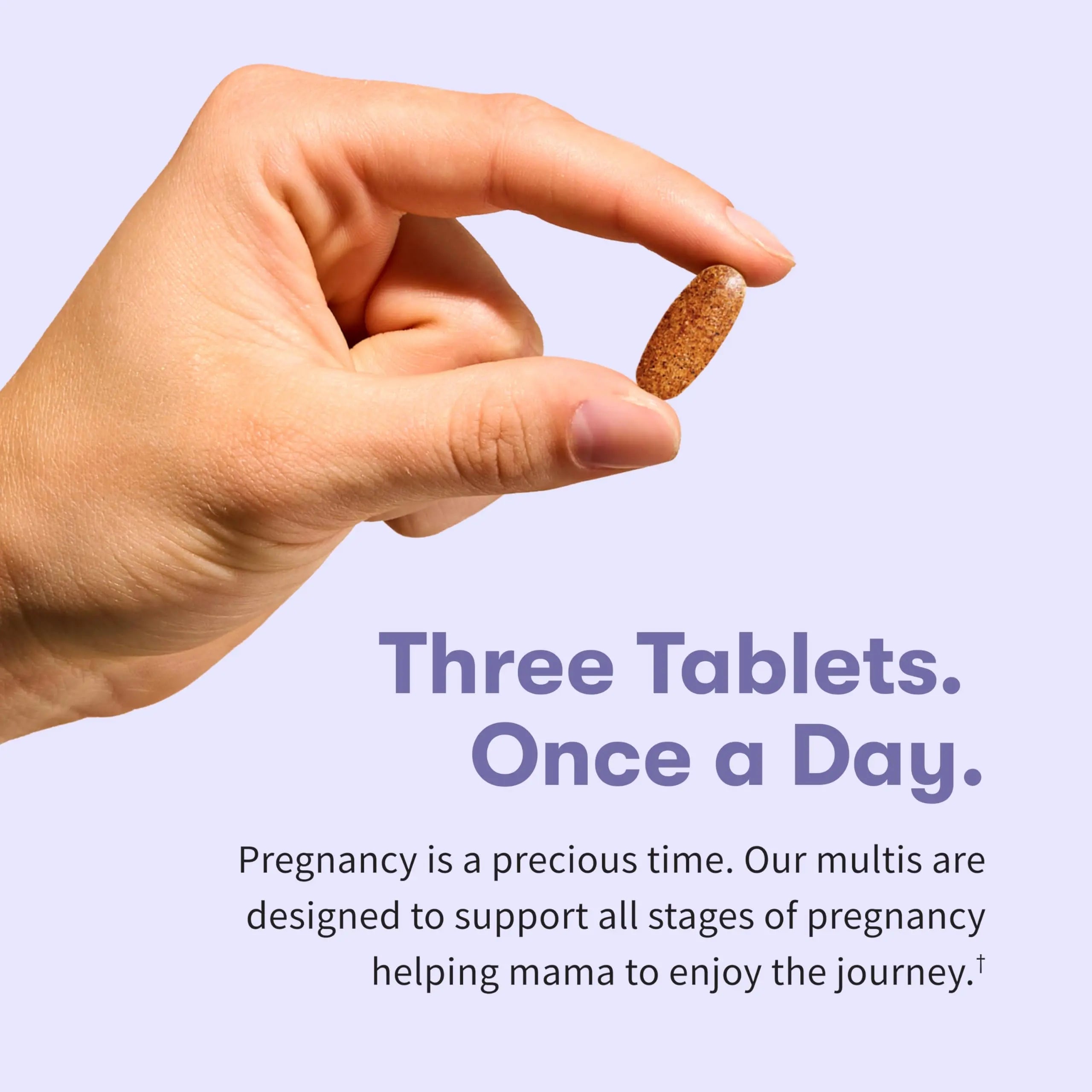Garden of Life Organics, Prenatal Multi, 90 Vegan Tablets Garden of Life buy supplements canada