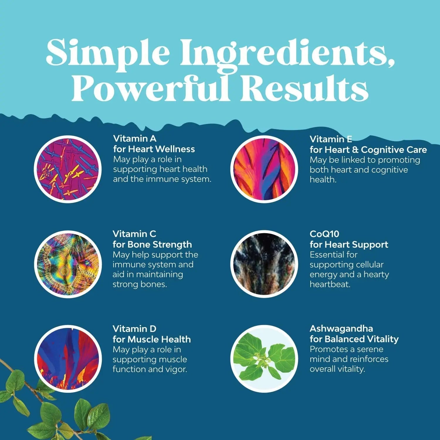 Natures Craft Men's Multivitamin Gummies with Superfood Complex - Daily Multivitamin for Men Gummies with CoQ10 and Ashwagandha Natures Craft buy supplements canada