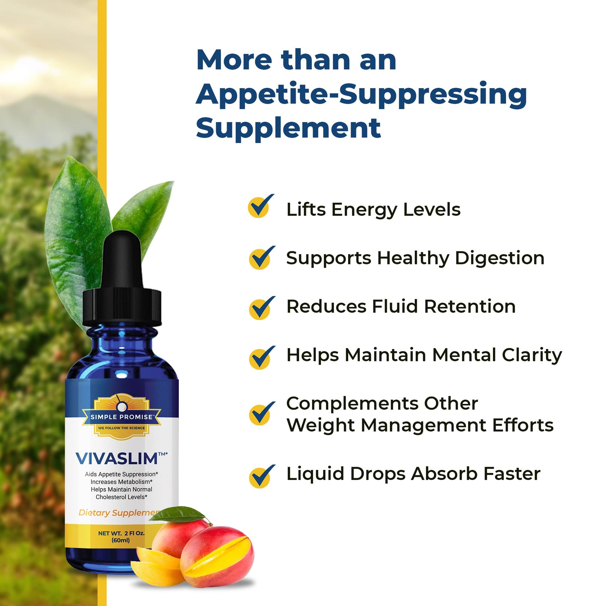 Simple Promise - VivaSlim - Natural Liquid Drops with African Mango, 2 fl oz Simple Promise buy supplements canada