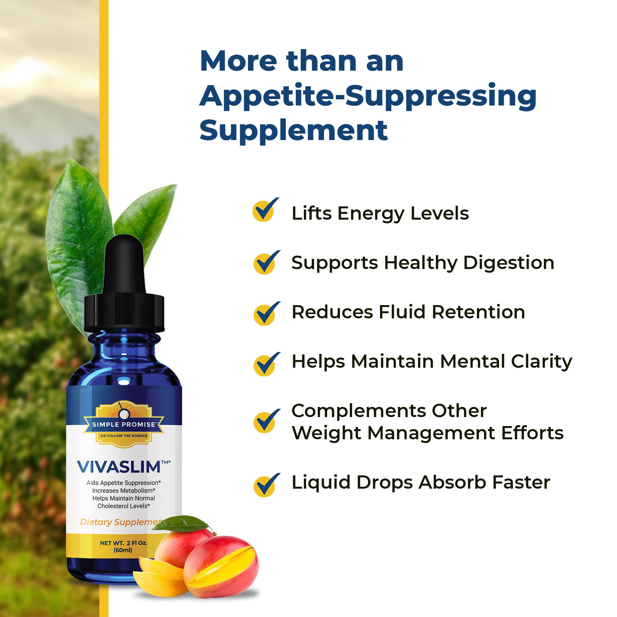Simple Promise - VivaSlim - Natural Liquid Drops with African Mango, 2 fl oz Simple Promise buy supplements canada