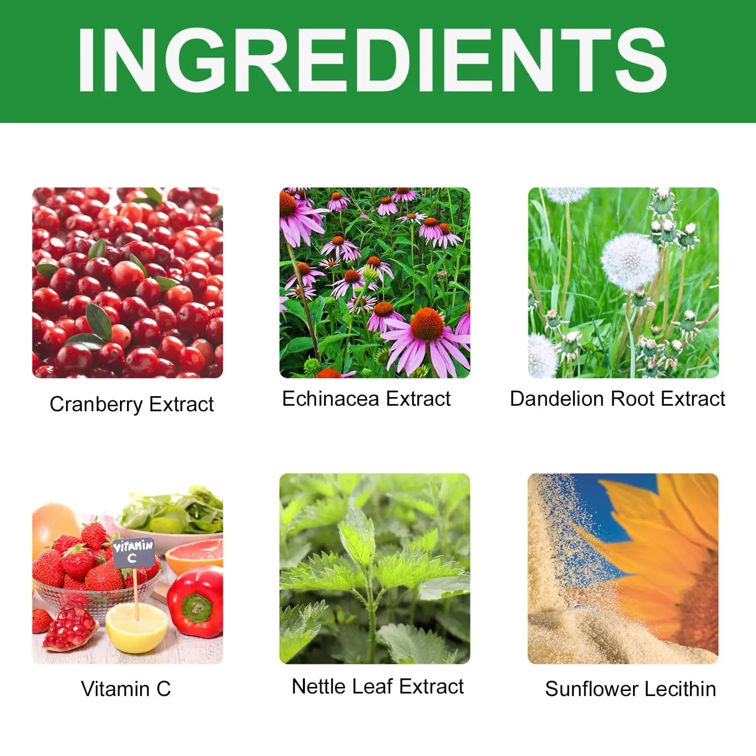Urinary Tract for Cats, Cat & Dog Urinary Tract Drops Infection Remedy with Cranberry Dog Supplements, Cranberry Kidney Bladder Support Supplement - 60ml / 2 Fl.oz JoanofArc buy supplements canada