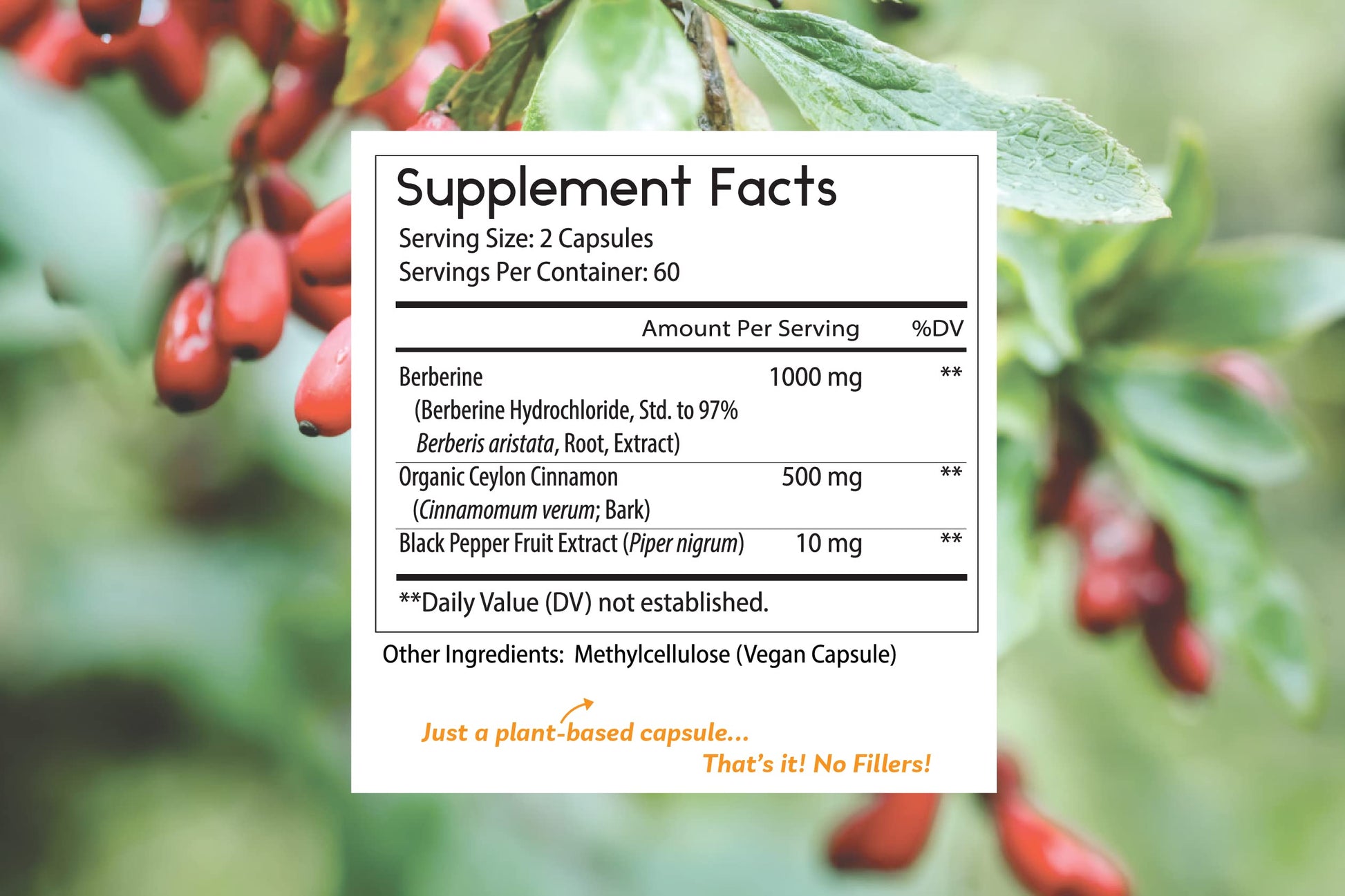Thomas' all-natural Remedies Berberine 500mg (1000mg Per Serving)- 120 Vegan Capsules Thomas' all-natural Remedies buy supplements canada