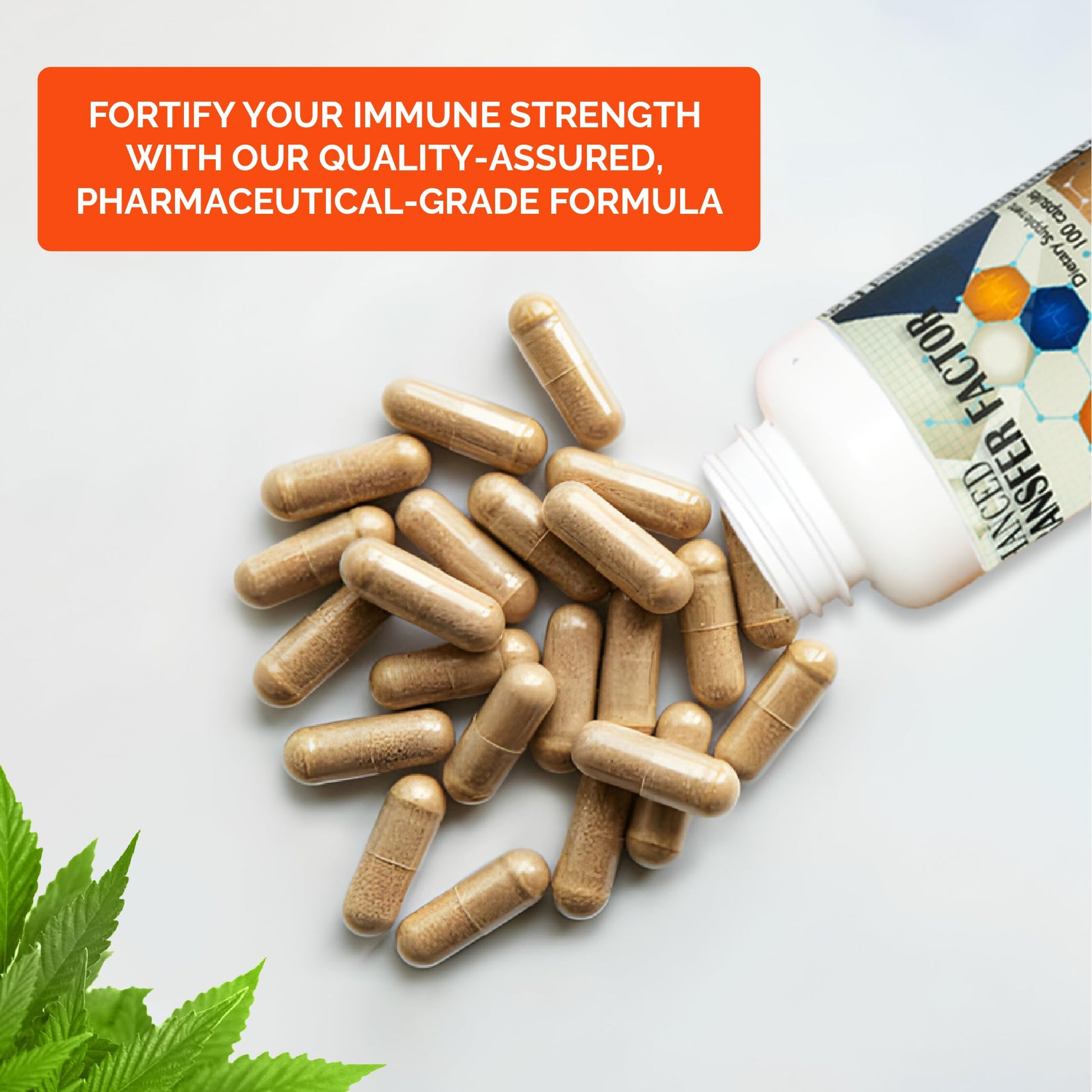 Transfer Factor Enhanced, 100 Natural Capsules, Immune Support - Transfer Factor Multi Immune from Cow Colostrum, Egg Yolk & Special Blend of Mushrooms Dislafarm buy supplements canada