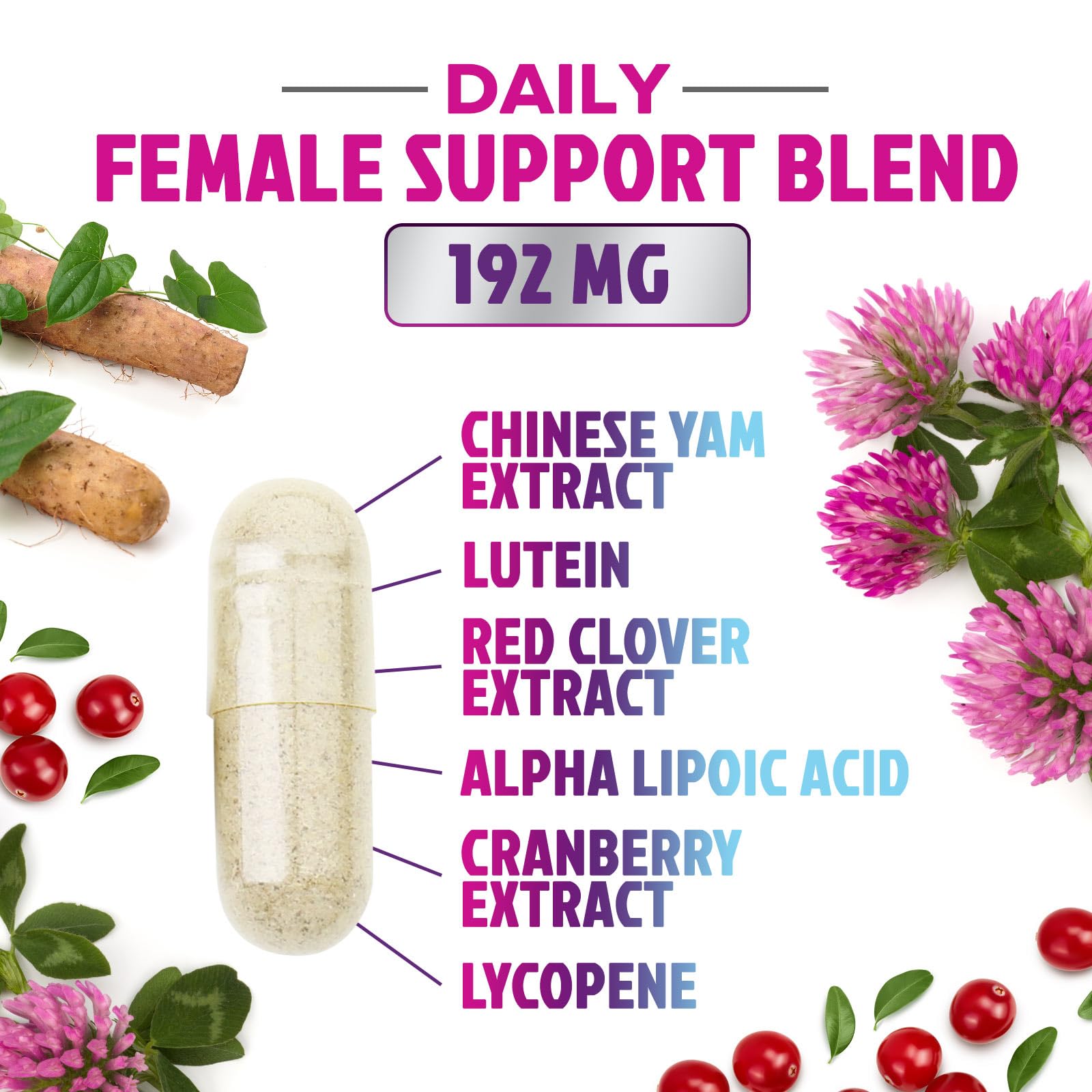 Multivitamin for Women - with Vitamins A, C, D, E, B6, B12, Zinc, Calcium & Magnesium, Womens Daily Multi Vitamin Multimineral Supplement for Bone Health, Energy & Immune Support - 120 Capsules Nature's Nutrition buy supplements canada
