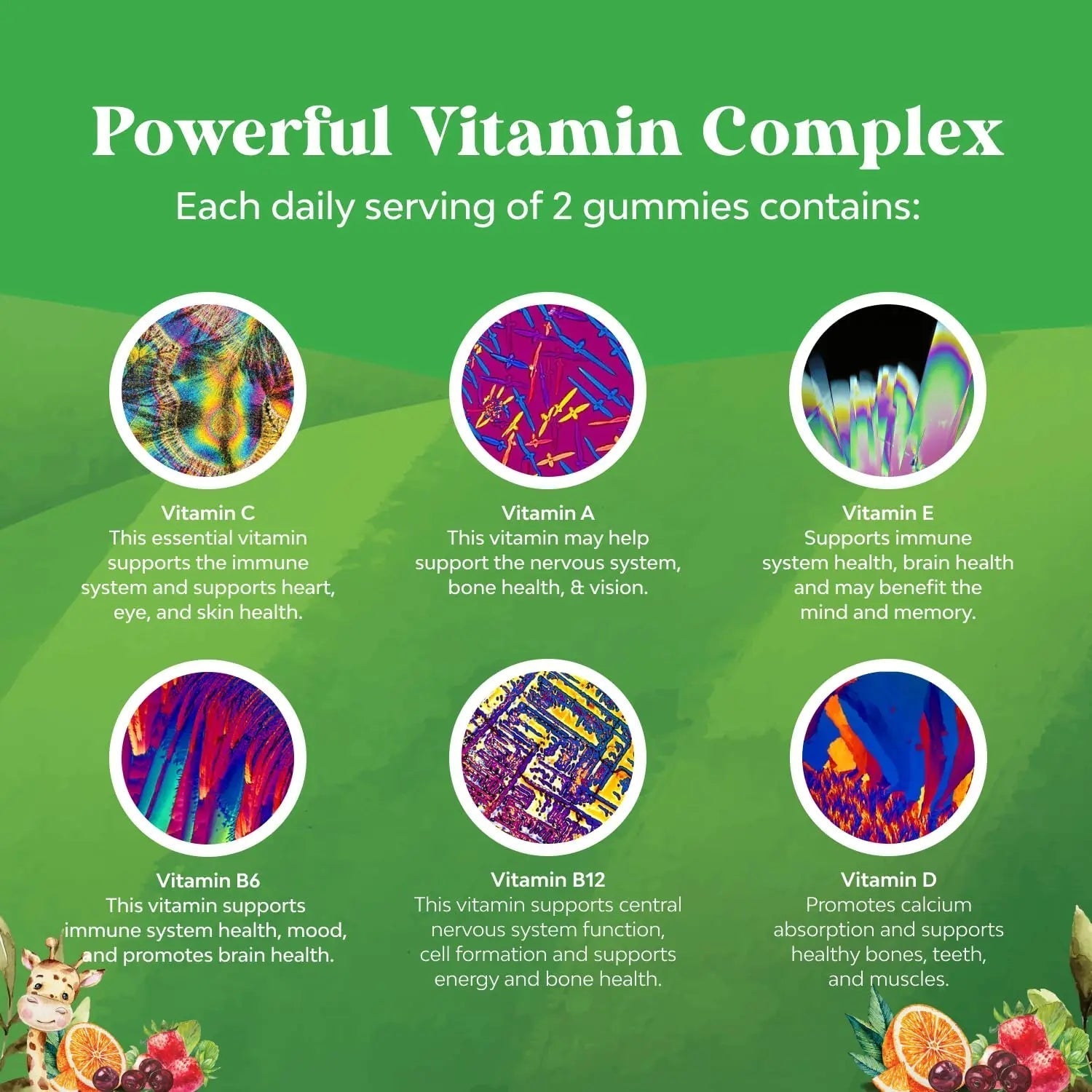 Bundle of Plant Based Kids Multivitamin Gummies with Vitamins A C D3 E B Zinc and DHA Omega 3 Gummies with Vegetarian 6 9 for Vision Brain Immunity Support Natures Craft buy supplements canada