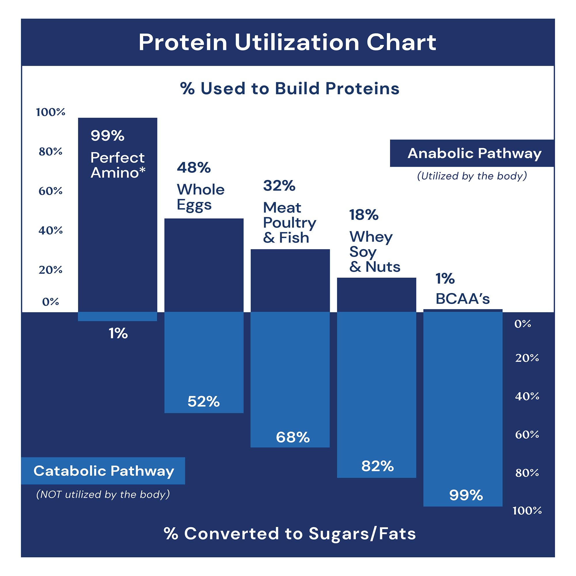 BodyHealth PerfectAmino, Essential Amino Acid with BCAAs + Lysine, Phenylalanine, Threonine, Methionine, Tryptophan, Supplement for Muscle Mass Production, BodyHealth buy supplements canada