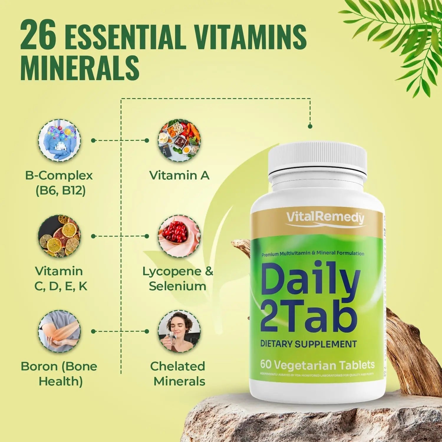 VitalRemedyMD Daily2Tab - All You Need Multivitamin Plus Multimineral Formula. 26 Essential Nutrients for Women and Men, 60 Tablets VitalRemedyMD buy supplements canada
