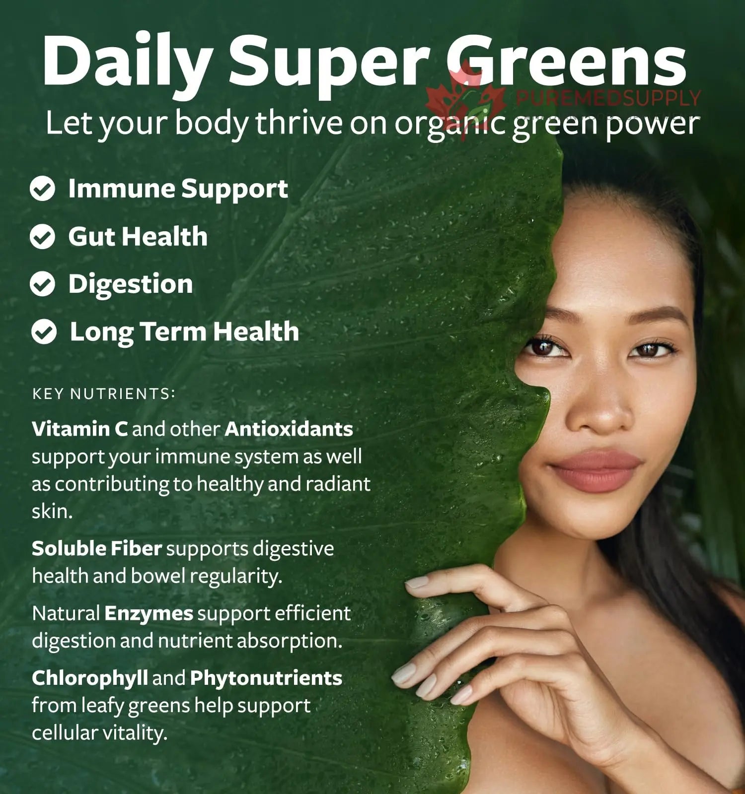 Super Greens & Antioxidants (2-Month Supply) Antioxidant Power Greens Bundle of Organic Super Greens Powder - Complete Superfood (120 Capsules) & Super Antioxidants - Powerful Superfood (120 Capsules) Healths Harmony buy supplements canada